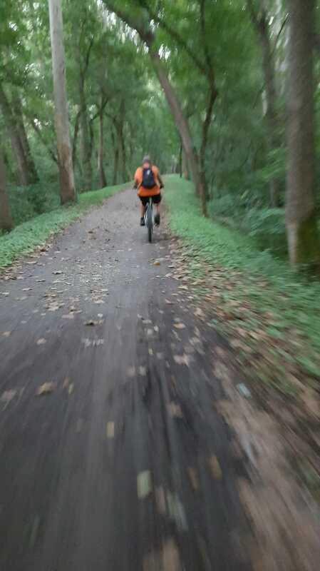A person riding a bicycle down a dirt path surrounded by trees, with green foliage and fallen leaves visible along the trail. The image appears slightly blurred, suggesting movement. C&O Canal mountain bike trail.