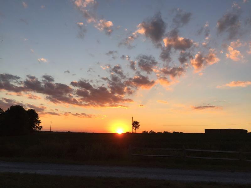 A tranquil sunset scene over a rural landscape, featuring a bright orange sun dipping below the horizon. Silhouettes of trees and a building are visible in the foreground against a sky filled with colorful clouds. The road in the foreground leads into the distance, enhancing the serene atmosphere of the evening. Schaeffer Farms mountain bike trail.