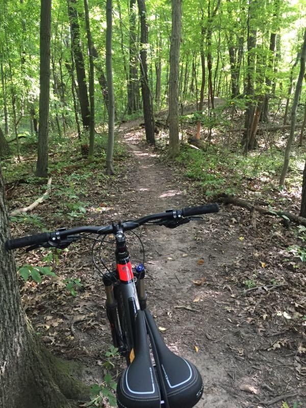 Mountain bike handlebars in the foreground, facing a winding dirt trail through a lush green forest with tall trees and dappled sunlight filtering through the leaves. Holdridge Recreation Area mountain bike trail.