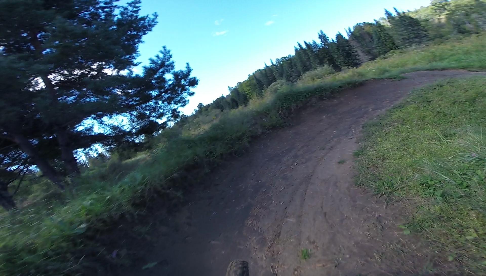 A close-up view of a mountain bike tire on a dirt path curving through a forested area, surrounded by greenery and trees under a bright blue sky. Kingdom Trails mountain bike trail.