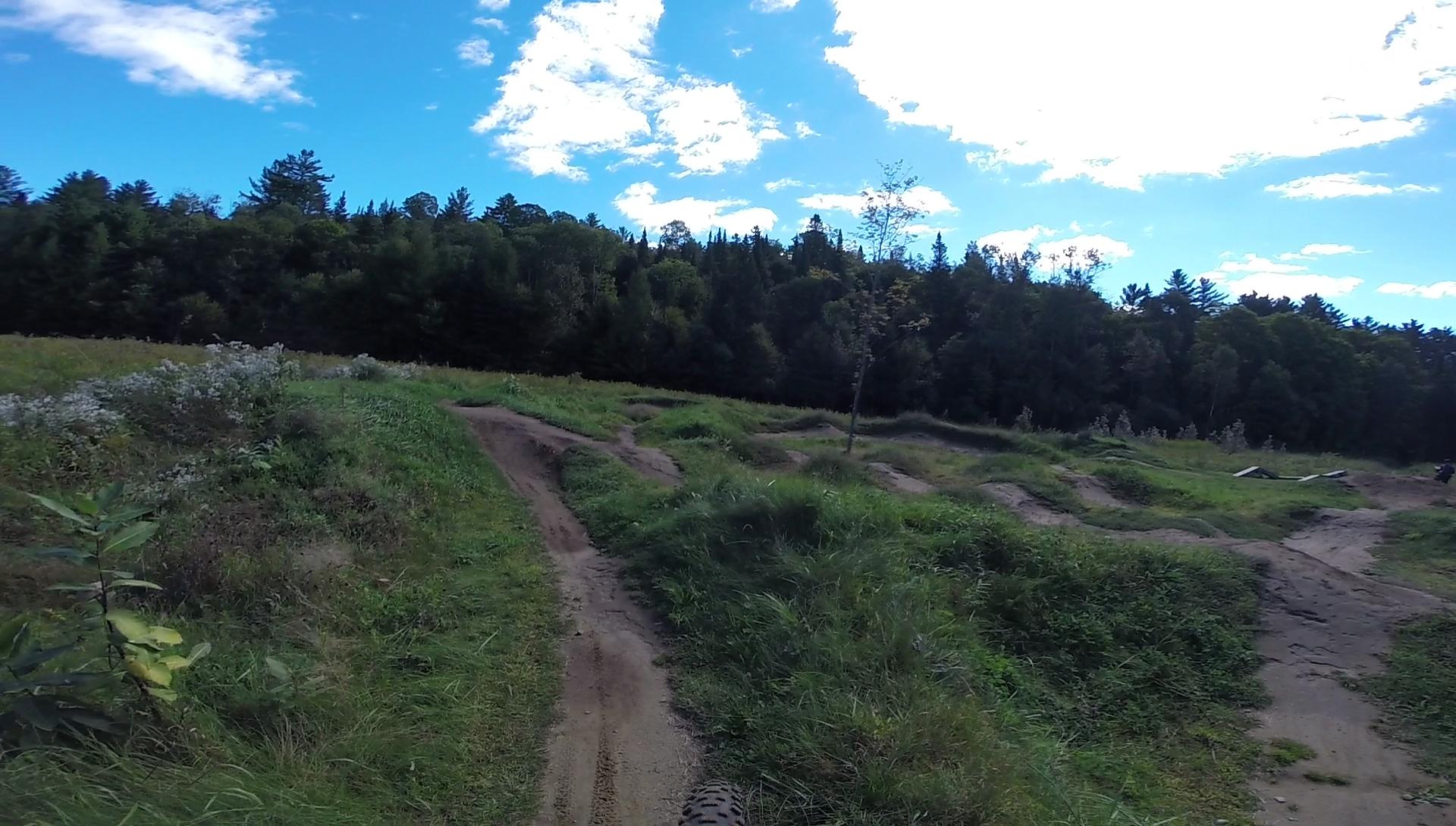 A wide view of a grassy bike trail with dirt jumps, surrounded by trees and blue sky with scattered clouds. The terrain features winding paths and overgrown grass, indicating a natural outdoor biking area. Kingdom Trails mountain bike trail.