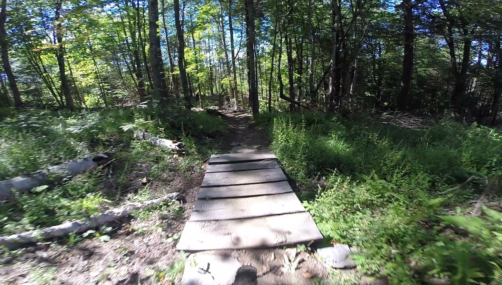 Alt text: A wooden bridge spans a narrow path through a lush green forest, with sunlight filtering through the trees and vibrant foliage surrounding the trail. Kingdom Trails mountain bike trail.