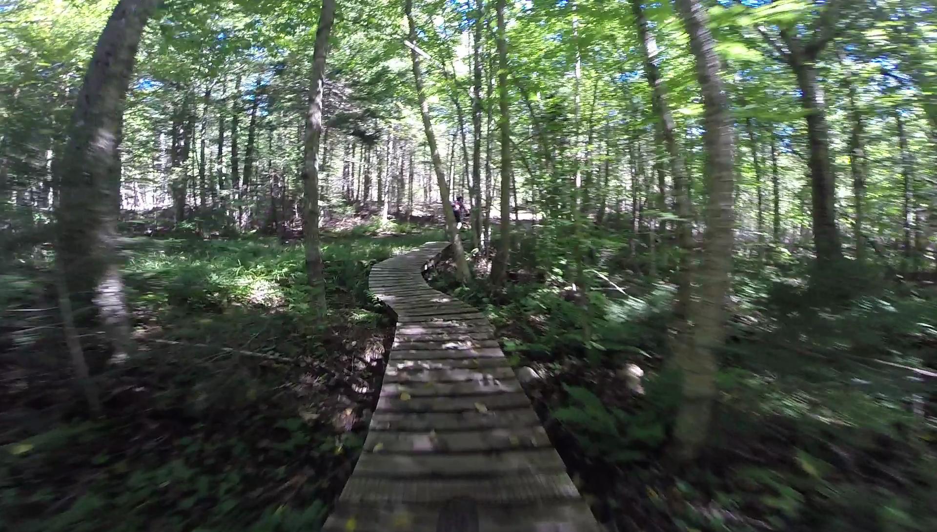 A winding wooden boardwalk leads through a lush green forest, surrounded by tall trees and vibrant foliage, with dappled sunlight filtering through the leaves. Kingdom Trails mountain bike trail.