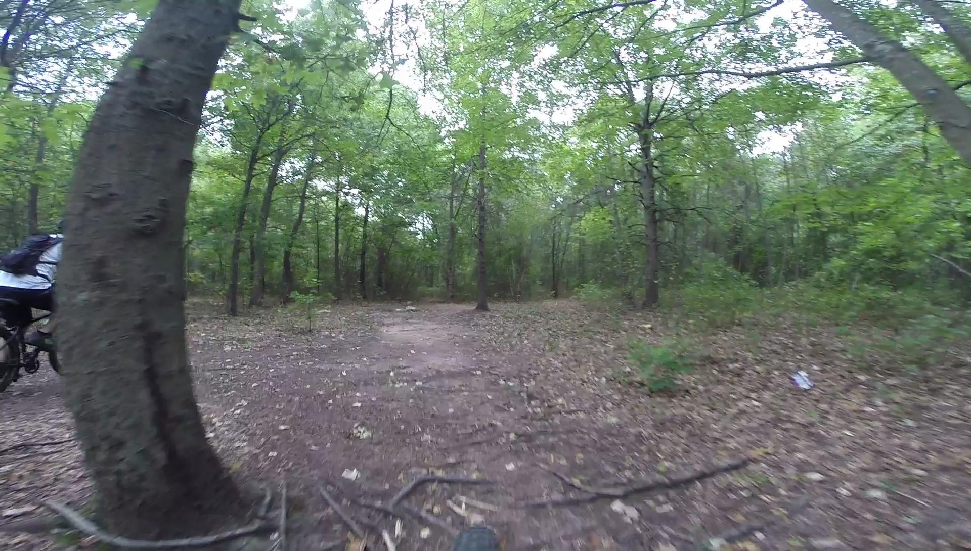 A dirt path winding through a lush forest filled with green trees, fallen leaves, and scattered branches. Bloomingdale Park Wooded section mountain bike trail.