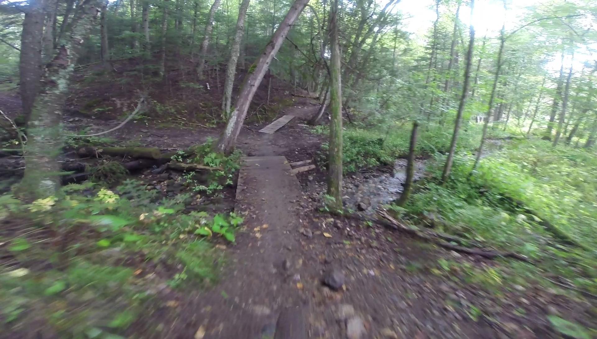 A winding dirt trail through a lush forest, featuring trees on either side, and a wooden bridge crossing a small stream. The ground is covered in greenery and scattered stones, creating a natural, scenic pathway for hiking or biking. Kingdom Trails mountain bike trail.