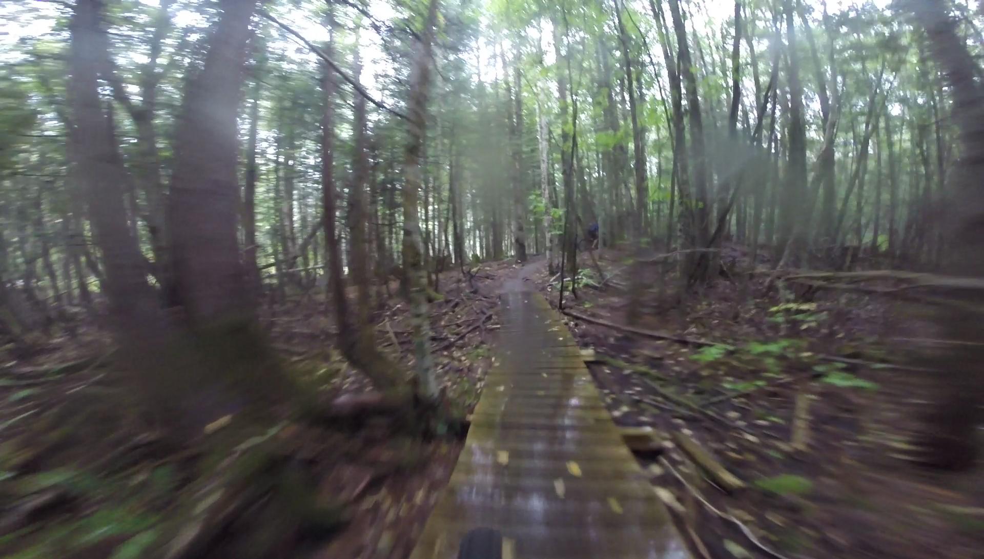 A blurred view of a wooden boardwalk winding through a dense, green forest. The scene captures a sense of motion and rain-soaked elements, with trees towering on either side and a trail disappearing into the distance. Kingdom Trails mountain bike trail.