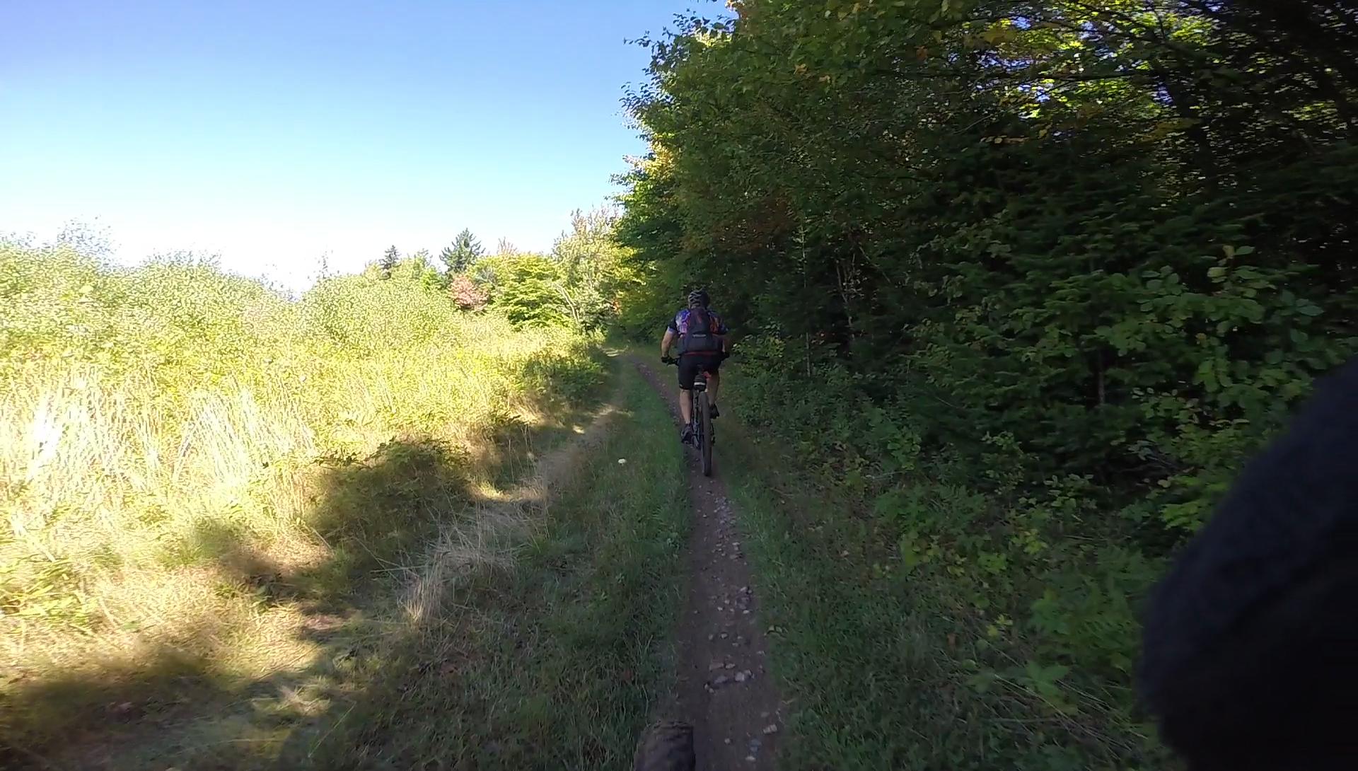 A person riding a mountain bike along a narrow dirt trail bordered by lush green foliage on a sunny day. The trail is surrounded by tall grasses and trees under a clear blue sky. Kingdom Trails mountain bike trail.