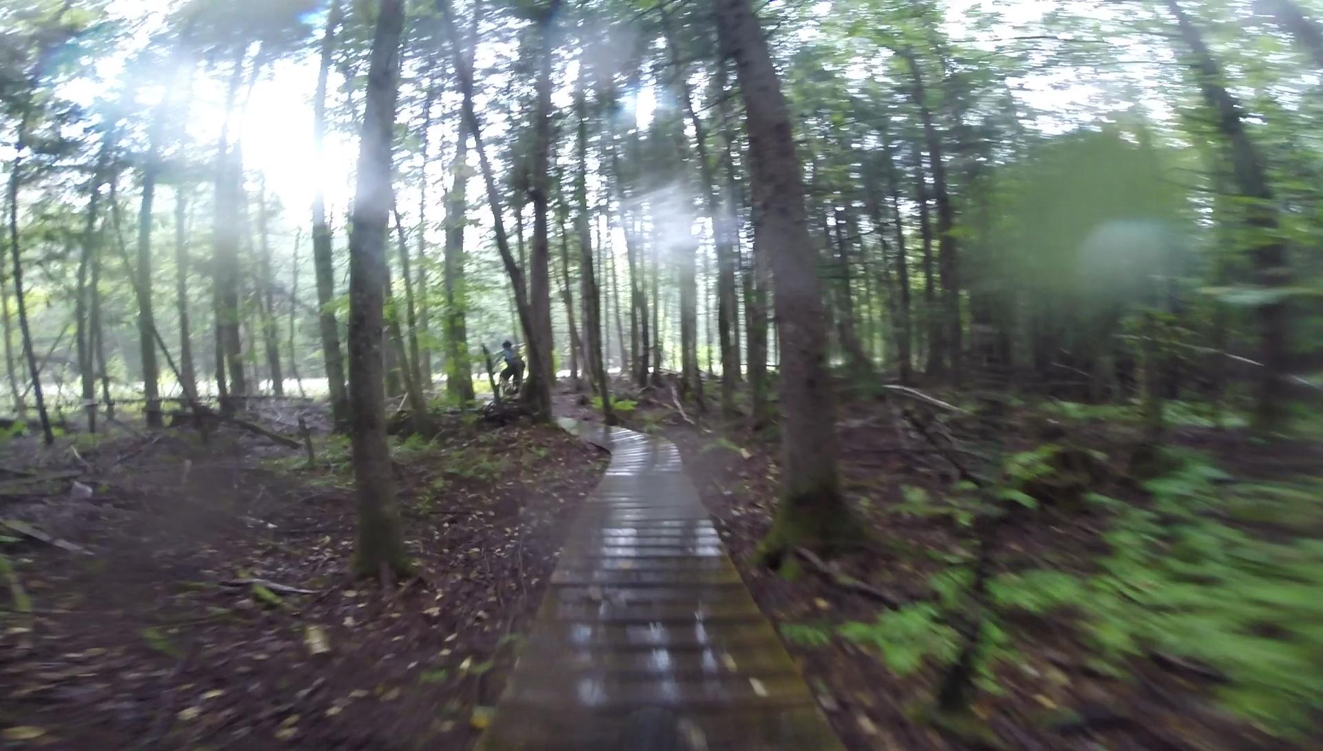 A winding wooden boardwalk path through a lush forest, surrounded by tall trees and greenery, with soft light filtering through the foliage. The ground is damp, suggesting recent rain, and the scene evokes a sense of tranquility and nature. Kingdom Trails mountain bike trail.