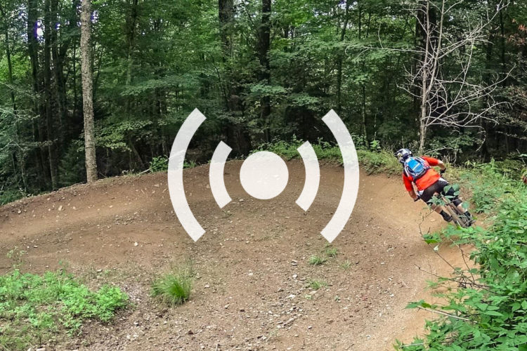 A mountain biker navigates a curved trail through a lush forest, with greenery surrounding the dirt path and trees in the background.