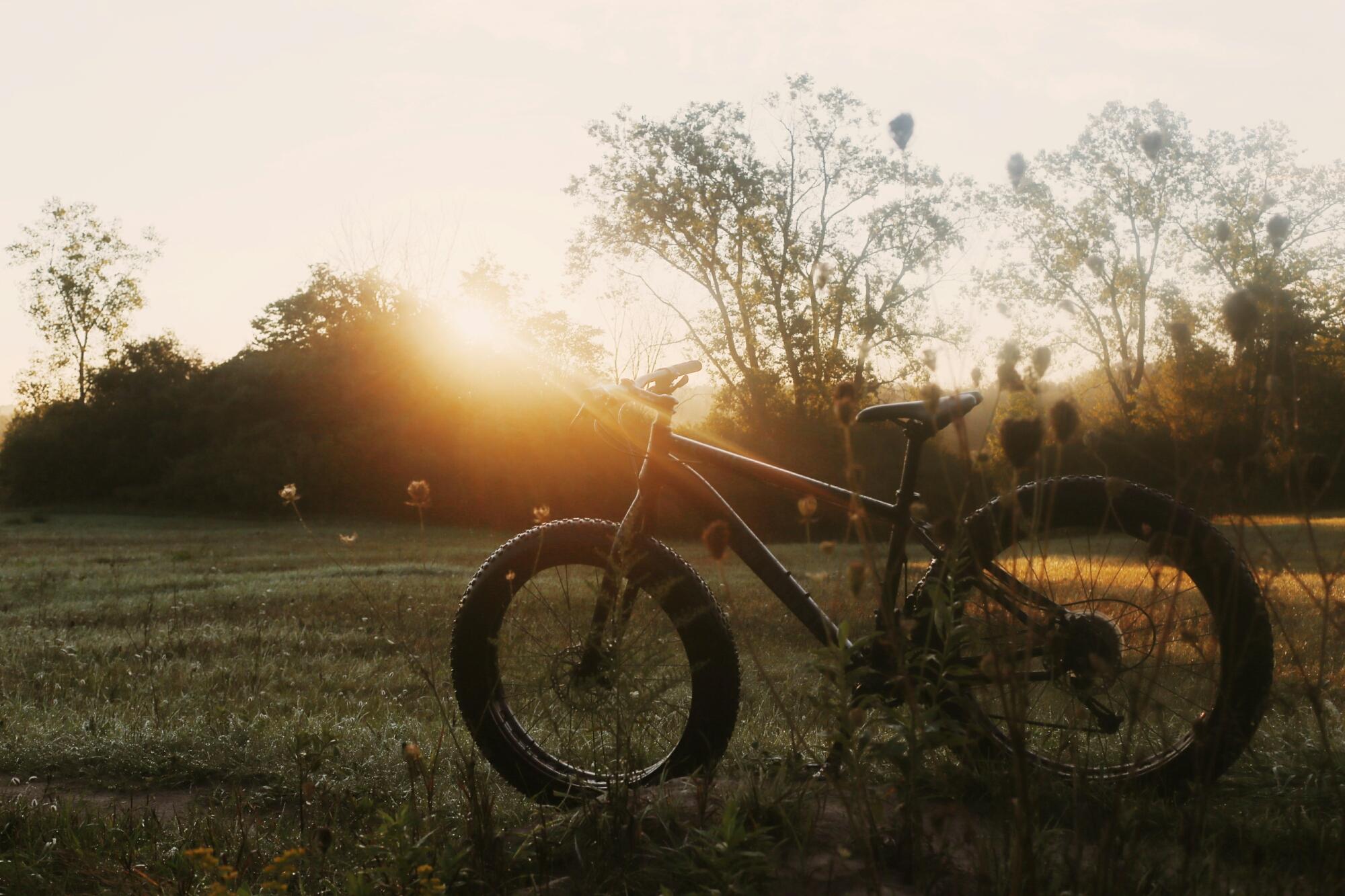SE F@E: A fat bike parked on a dirt path in a grassy field, bathed in warm sunlight during sunrise, with trees and wildflowers in the background.