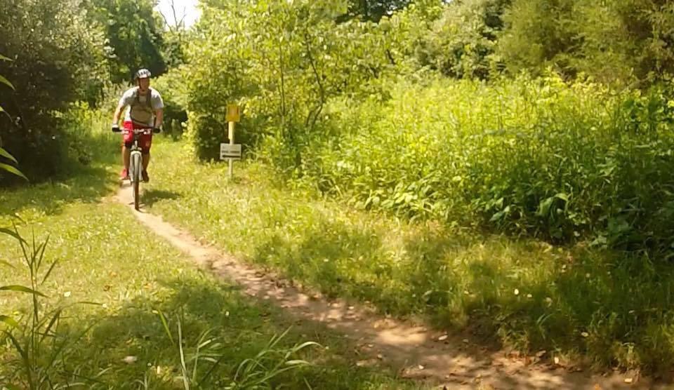 A cyclist rides along a dirt trail in a lush green setting, surrounded by tall grass and dense foliage. The path leads through a natural landscape, with a small sign visible in the background. Hueston Woods State Park mountain bike trail.