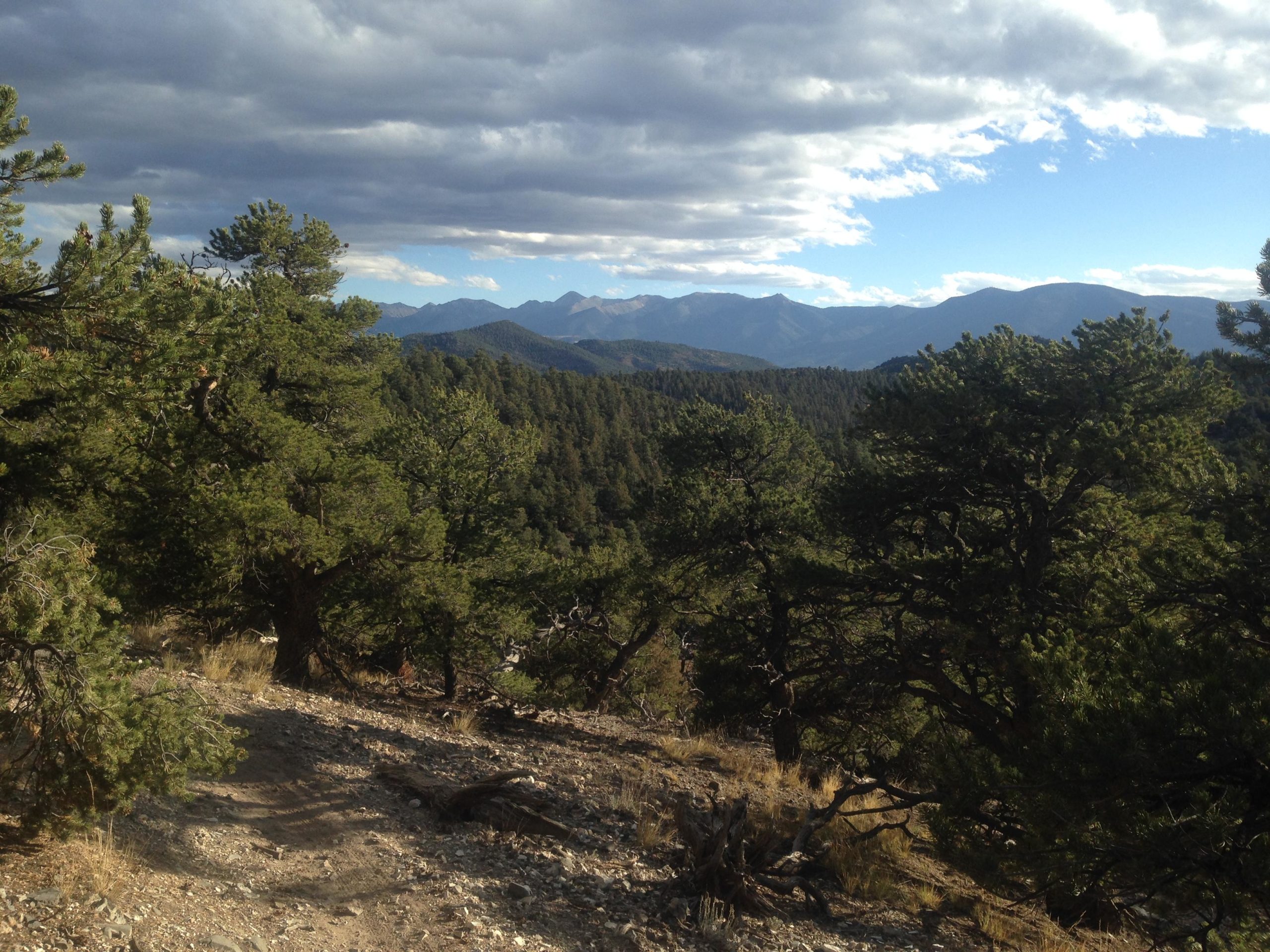 A scenic view of a mountainous landscape featuring dense green coniferous trees in the foreground, with rolling hills and mountain peaks in the background under a partly cloudy sky. Arkansas Hills mountain bike trail.