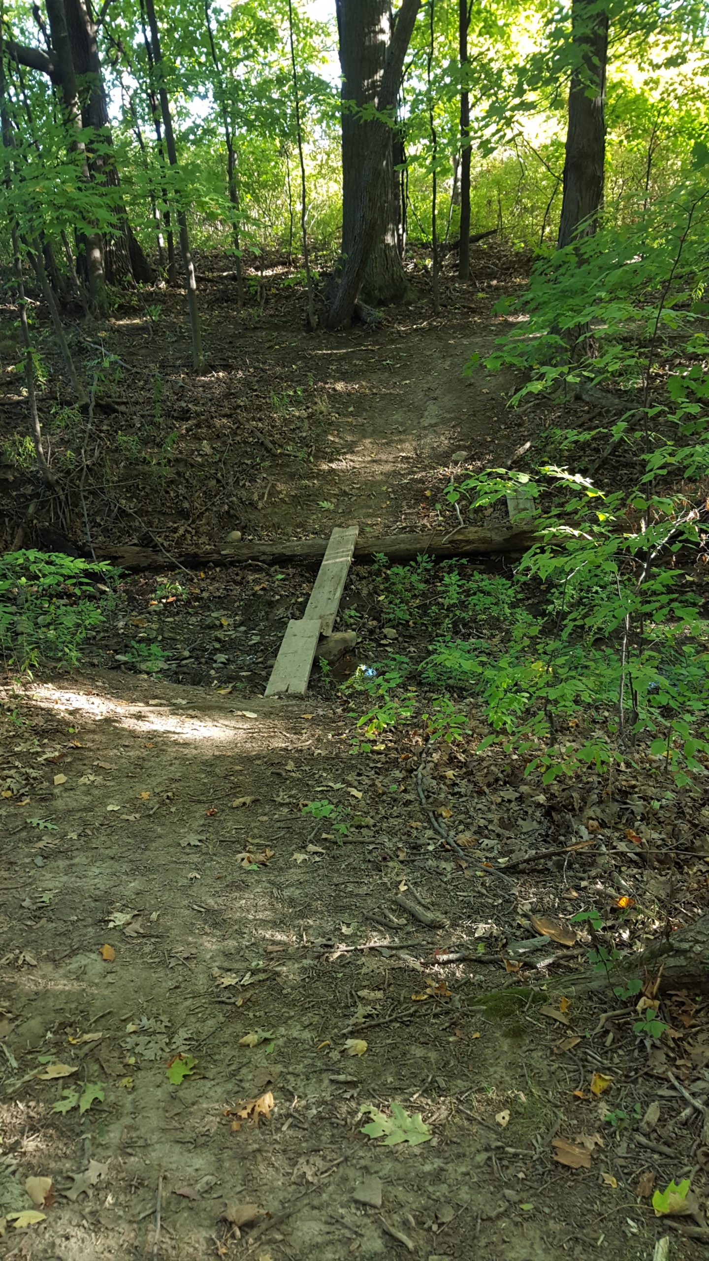 A wooden bridge crossing a small creek in a wooded area, surrounded by green foliage and trees. The ground is covered with dirt and scattered leaves, indicating a natural path through the forest. Kerncliffe Trail System mountain bike trail.