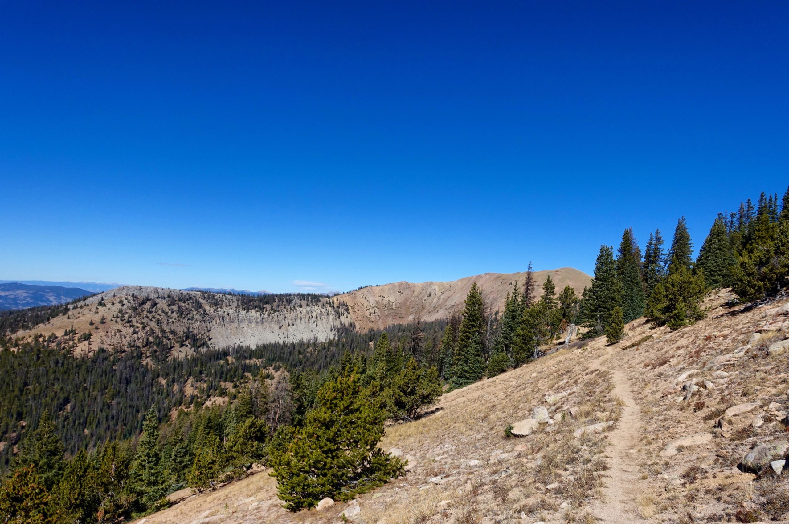 A scenic view of a hiking trail meandering through a mountainous landscape. The trail is flanked by evergreen trees and rocky terrain, with a clear blue sky overhead. In the distance, rolling hills and peaks can be seen, showcasing the natural beauty of the area. CDT: Monarch Pass to Boss Lake / Hunt Lake Trail mountain bike trail.