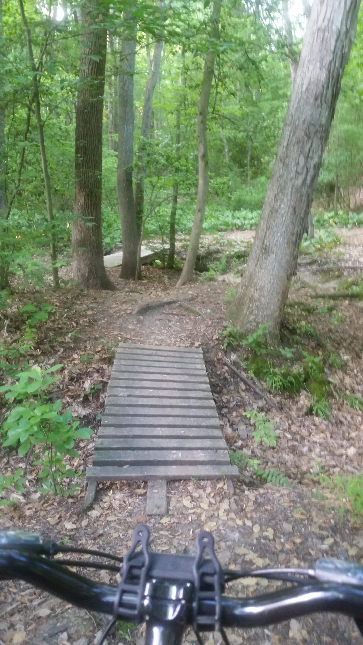 A narrow wooden bridge over a trail in a lush green forest, viewed from the perspective of a mountain bike's handlebars. Surrounding trees are tall and dense, with patches of sunlight filtering through the leaves. The ground is covered with fallen leaves and greenery. Camden County College mountain bike trail.