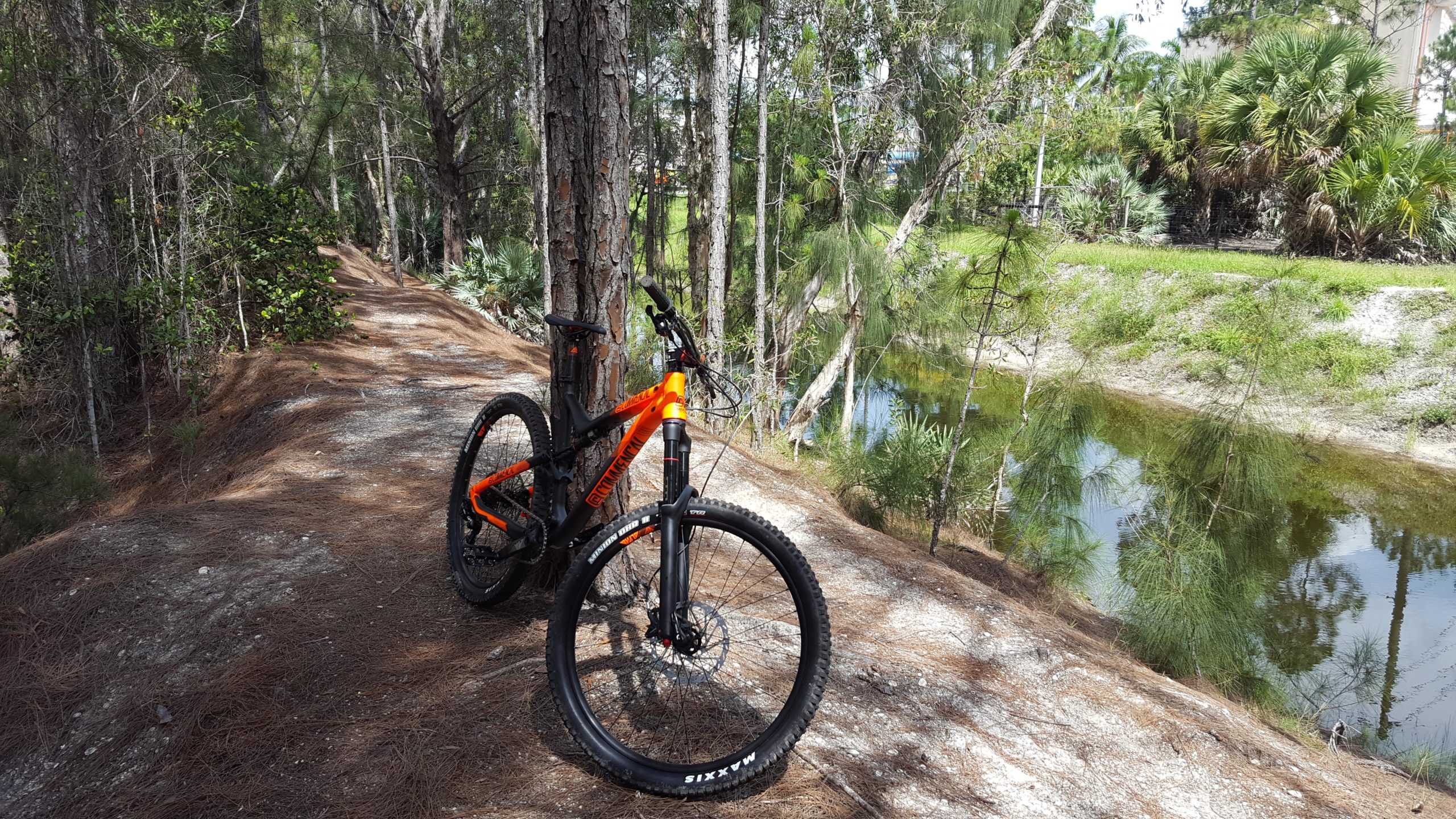 A mountain bike parked on a narrow dirt trail surrounded by tall trees, with a calm waterway visible in the background. Sunlight filters through the foliage, creating a serene outdoor scene. Okeeheelee Park / Pinehurst / Green Acres Freedom Park mountain bike trail.