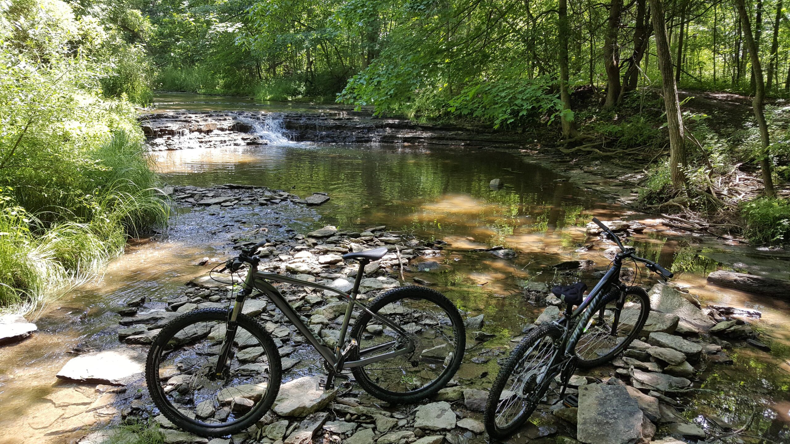 Specialized Rockhopper Comp Disc: Two bicycles are parked beside a clear stream surrounded by lush greenery and rocks. The water flows gently over a small waterfall in the background, with sunlight filtering through the trees, creating a serene outdoor scene.