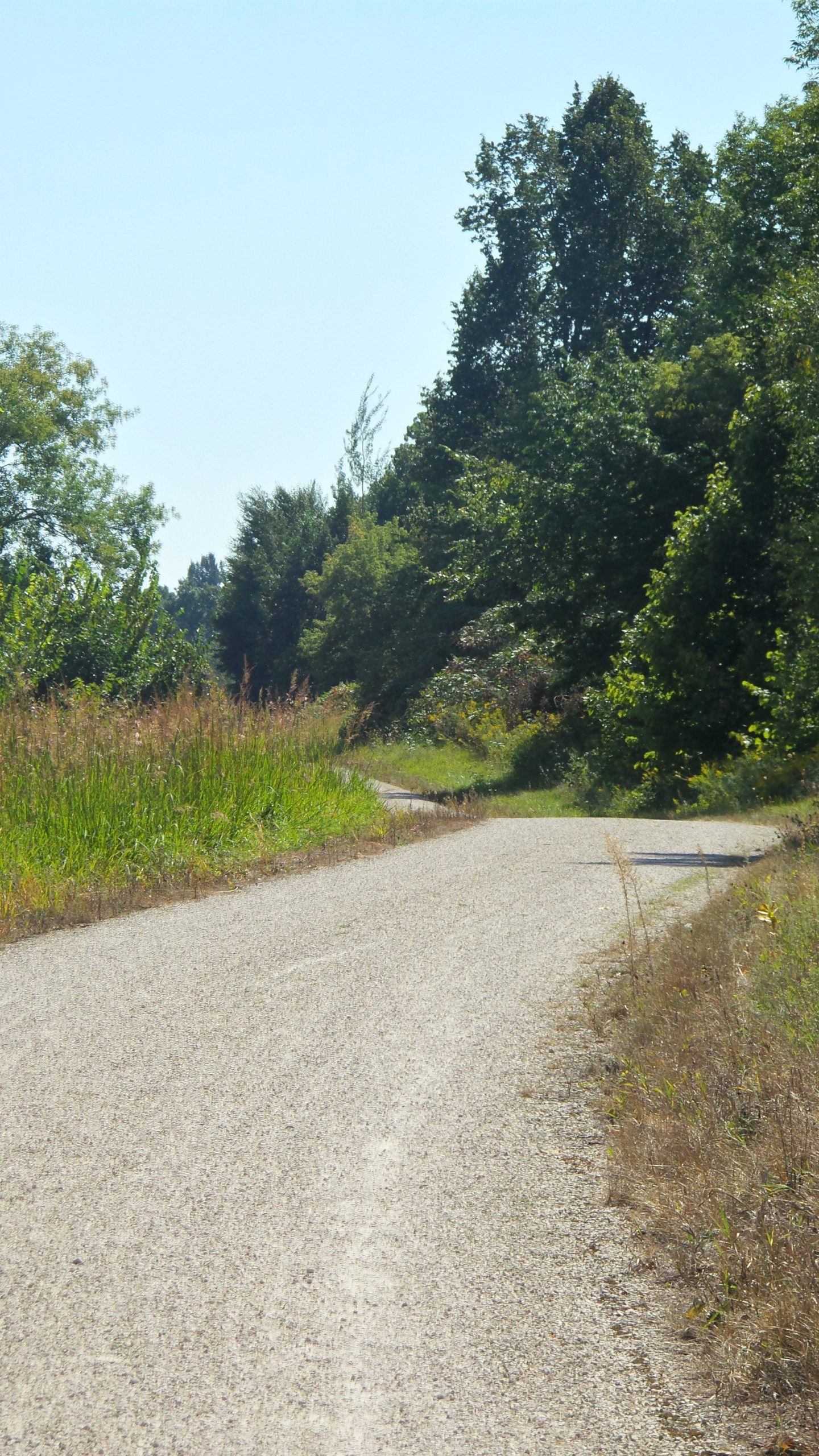 A winding gravel path surrounded by tall grass and trees under a clear blue sky. The trail curves gently to the left, inviting exploration through a natural setting. Lake to Lake mountain bike trail.