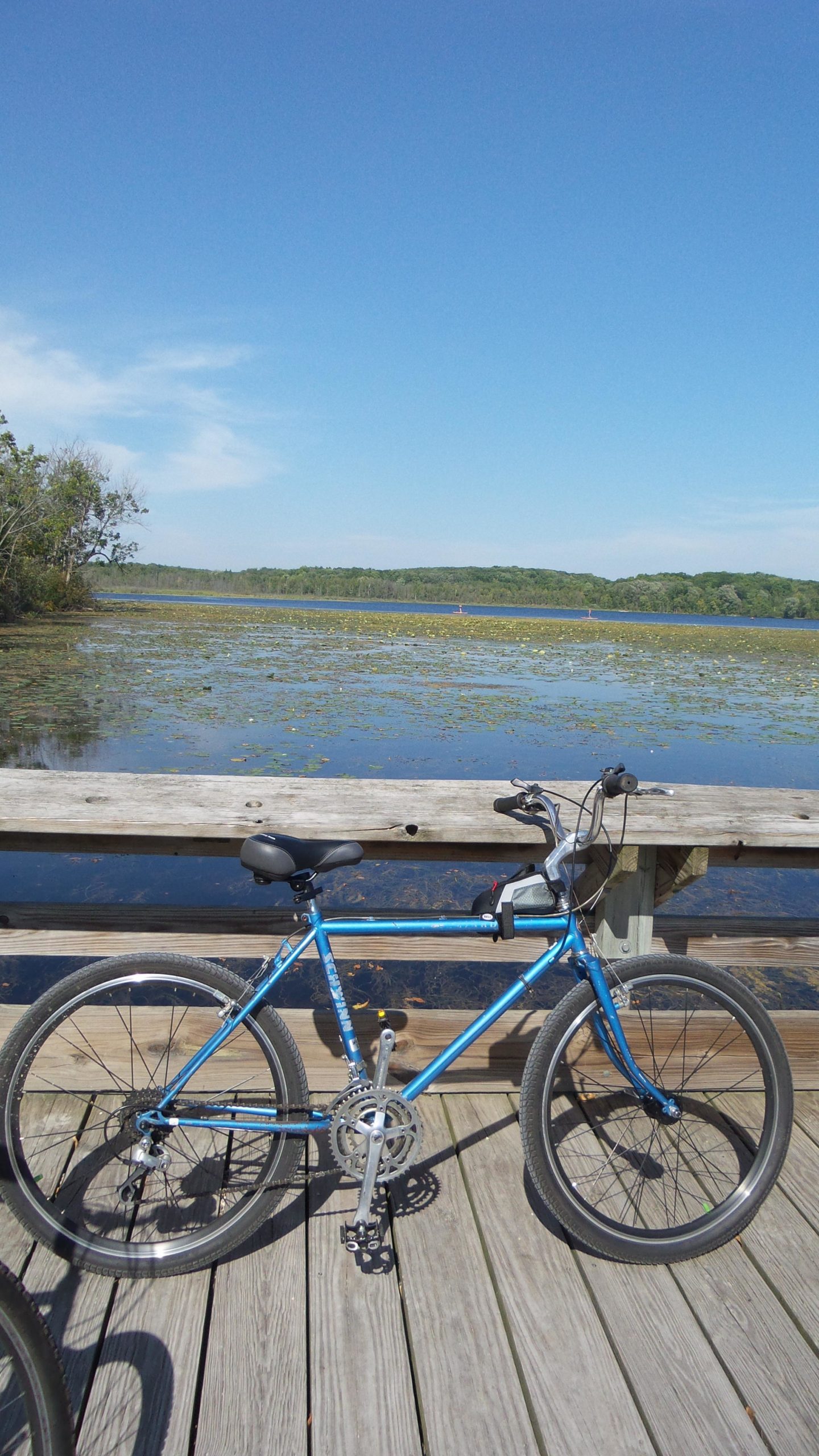 A blue mountain bike rests on a wooden dock overlooking a serene lake with lily pads. The sky is clear and blue, and lush greenery can be seen in the background. The scene captures a peaceful outdoor setting ideal for biking or enjoying nature. Lake to Lake mountain bike trail.