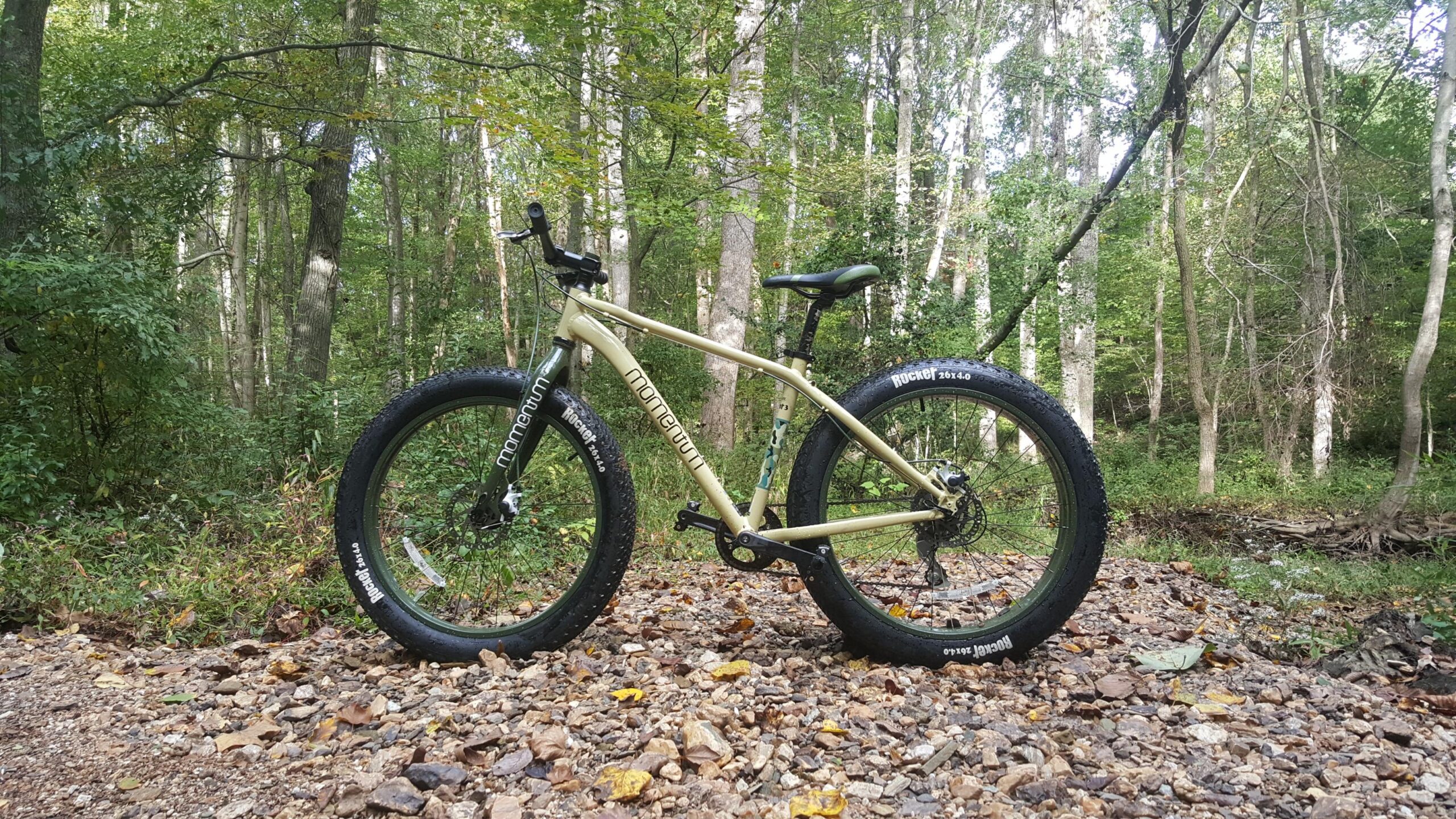 Giant Momentum iRide Rocker: A khaki-colored fat bike parked on a rocky path in a lush green forest. The bike features wide tires and is surrounded by trees and foliage, indicating an outdoor setting ideal for biking adventures.
