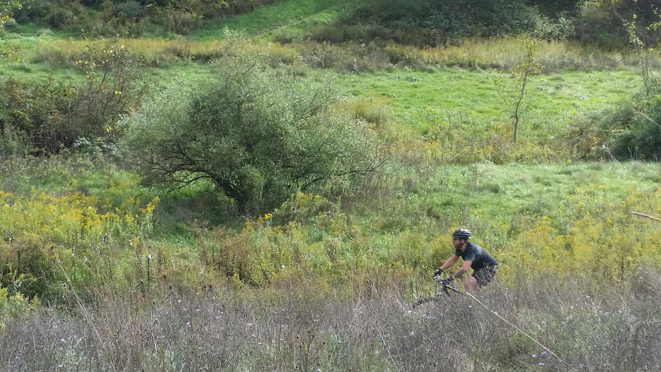 A cyclist riding through a grassy, green landscape filled with wildflowers and shrubs. The scene captures the beauty of nature, with a gentle slope in the background under a clear sky. Bavington mountain bike trail.