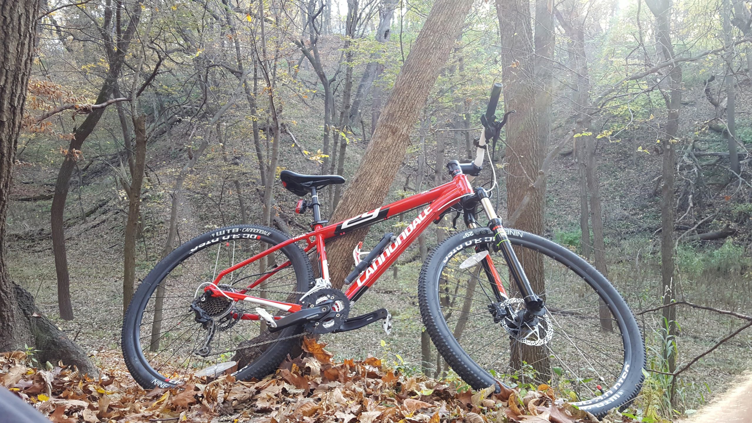 A red mountain bike leaning against a tree, surrounded by fallen leaves in a wooded area. The background features a hilly terrain with bare trees and autumn foliage. Sunlight filters through the trees, creating a serene outdoor setting. Jewel Park mountain bike trail.