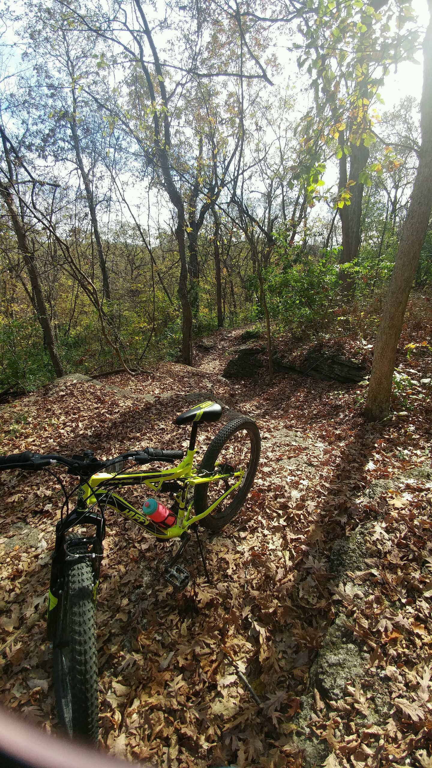 Mountain bike resting on a trail covered with autumn leaves, surrounded by trees with colorful foliage under a bright blue sky. Landahl Park Reserve mountain bike trail.