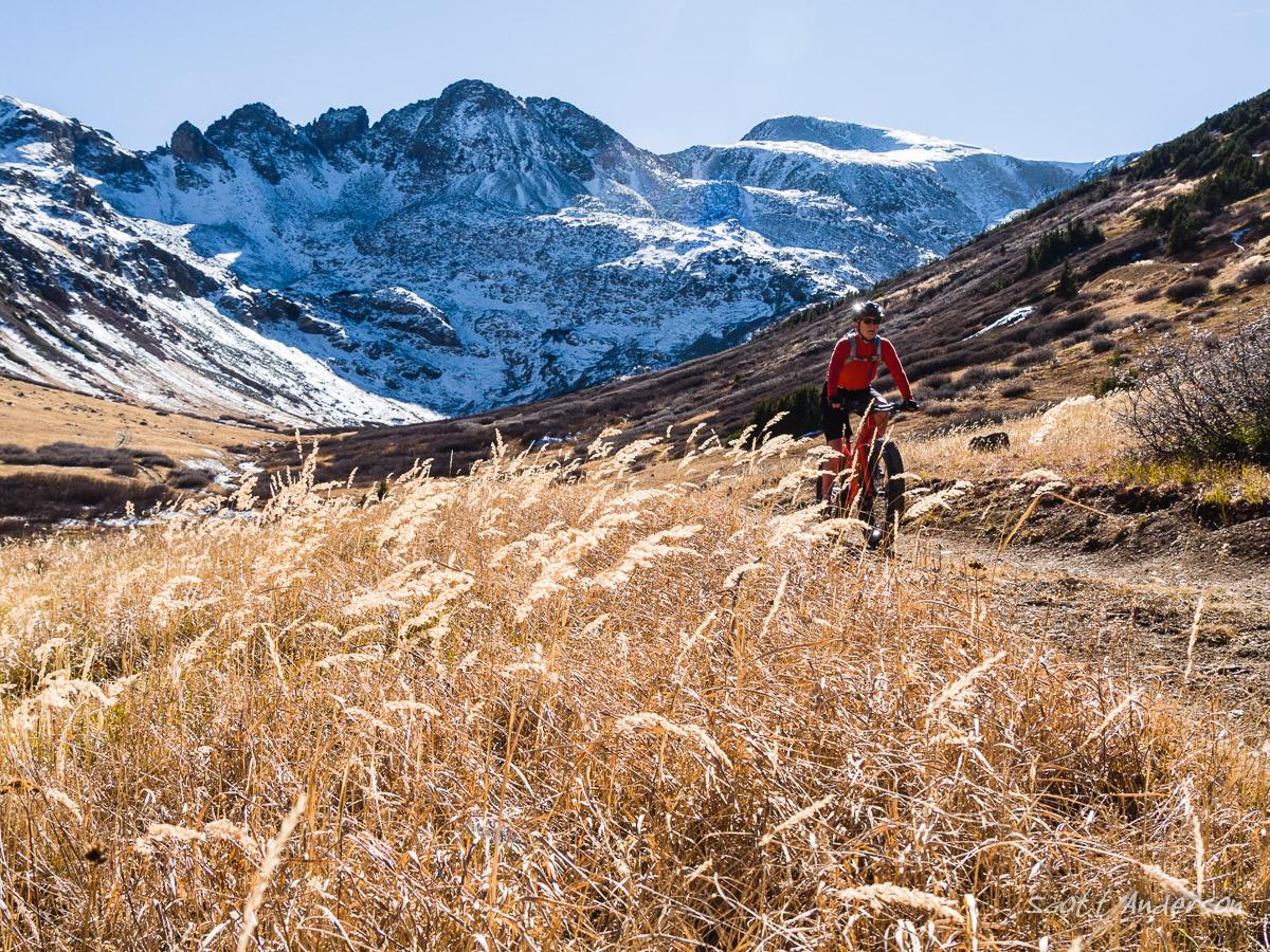 A mountain biker rides along a dirt trail surrounded by tall golden grass with snow-capped mountains in the background under a clear blue sky. The scene captures the beauty of nature and outdoor adventure. South Fork Lake Creek mountain bike trail.