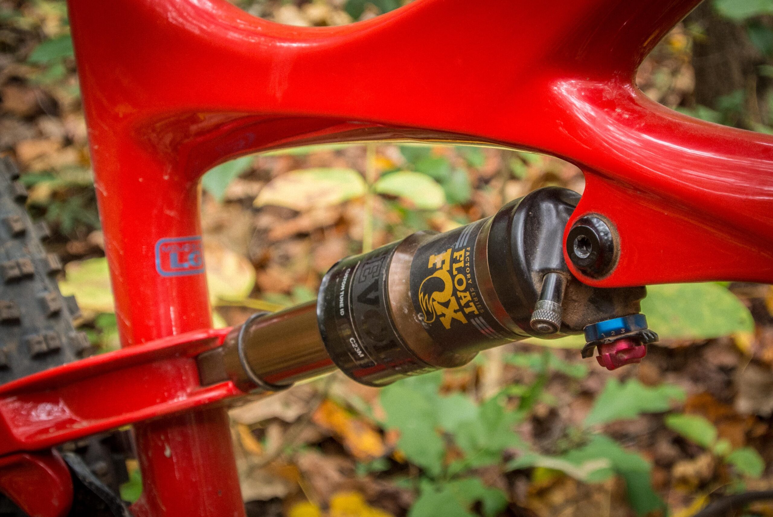 Ibis Mojo 3: A close-up view of a red bicycle frame featuring a FOX Float EVOL shock absorber, surrounded by autumn foliage. The image highlights the shock's adjusting knobs and part of the bike's suspension design.