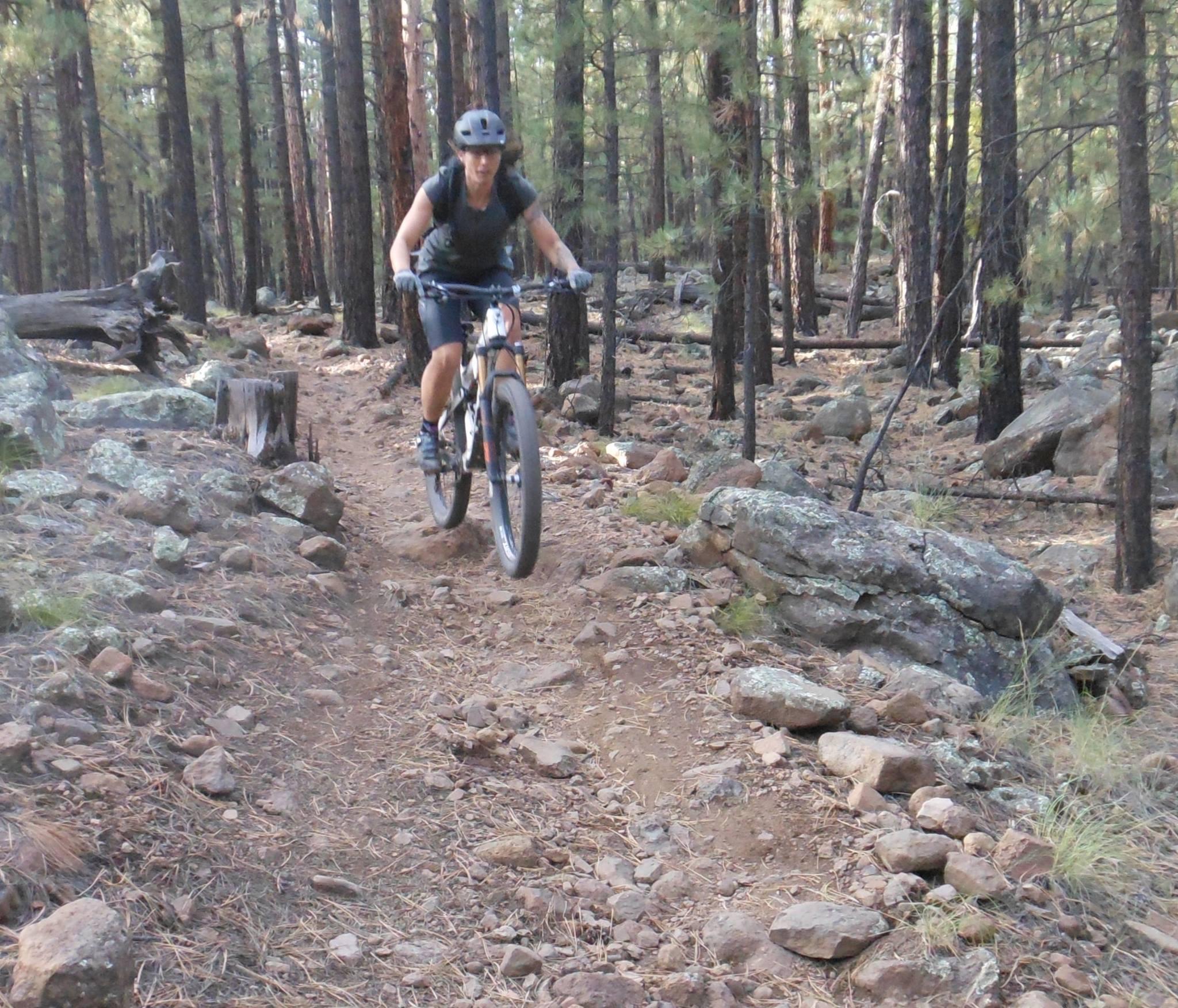 A person riding a mountain bike on a rocky trail through a dense forest, surrounded by tall trees and scattered stones. The rider is wearing a helmet and a backpack, focused on navigating the terrain. Sunlight filters through the trees, creating a natural outdoor setting. Arizona Trail mountain bike trail.