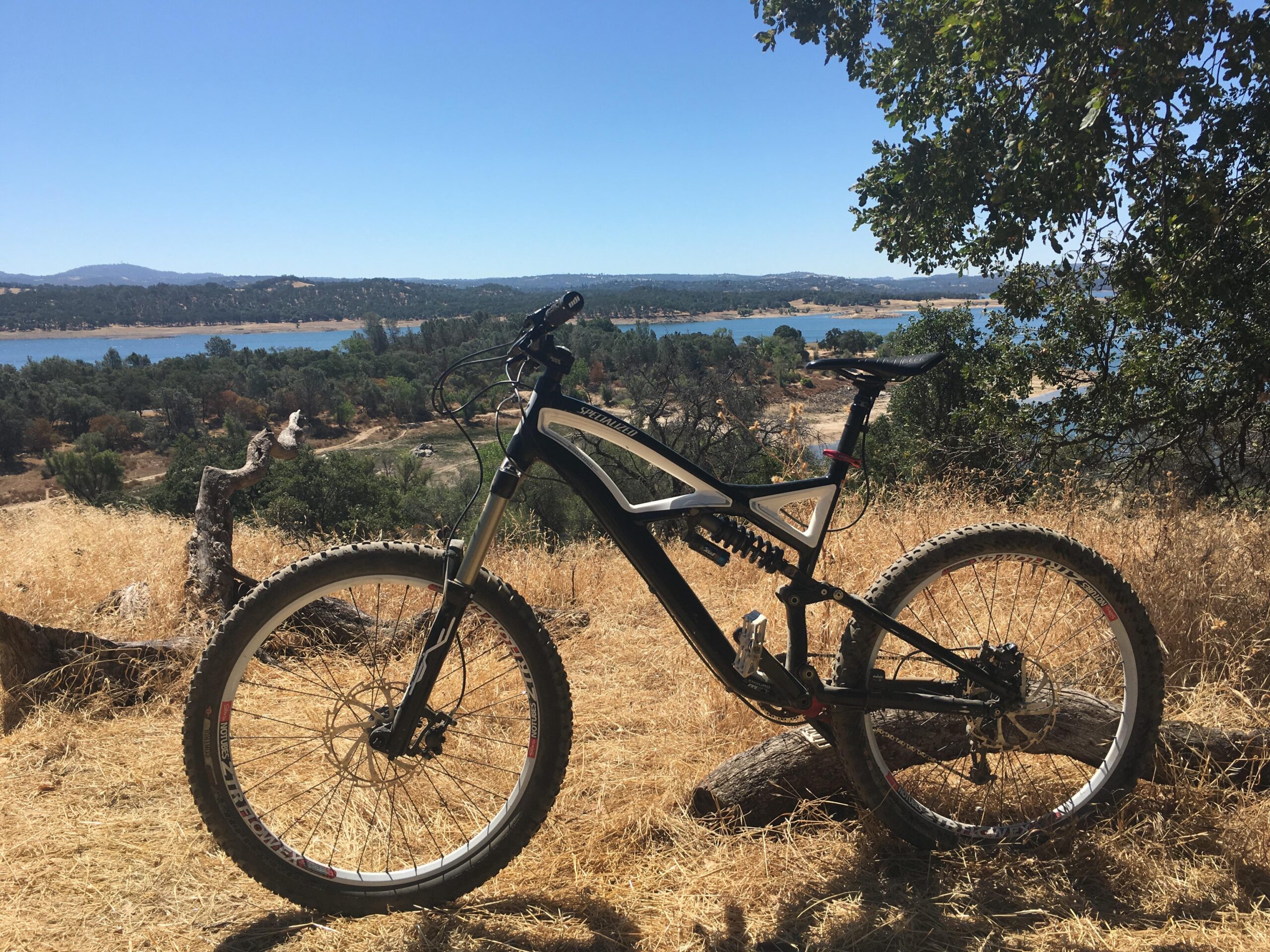 Specialized Enduro: A mountain bike parked on a hillside overlooking a serene lake and green trees under a clear blue sky. Dry grass and a fallen log are in the foreground.
