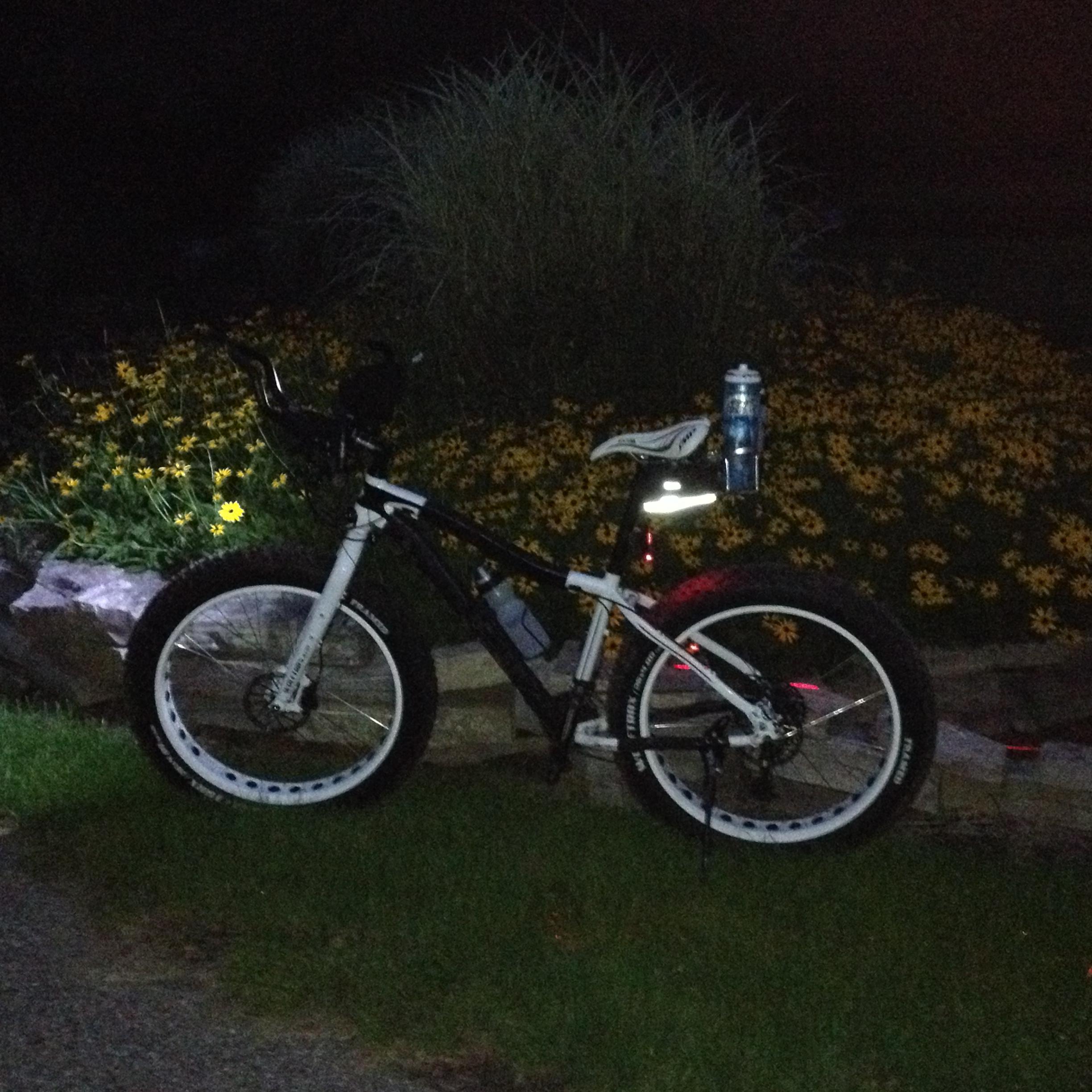 A black and white bicycle parked at night beside a flowerbed filled with yellow flowers, with a water bottle attached to the bike and lights reflecting off its surface. Burchfield mountain bike trail.