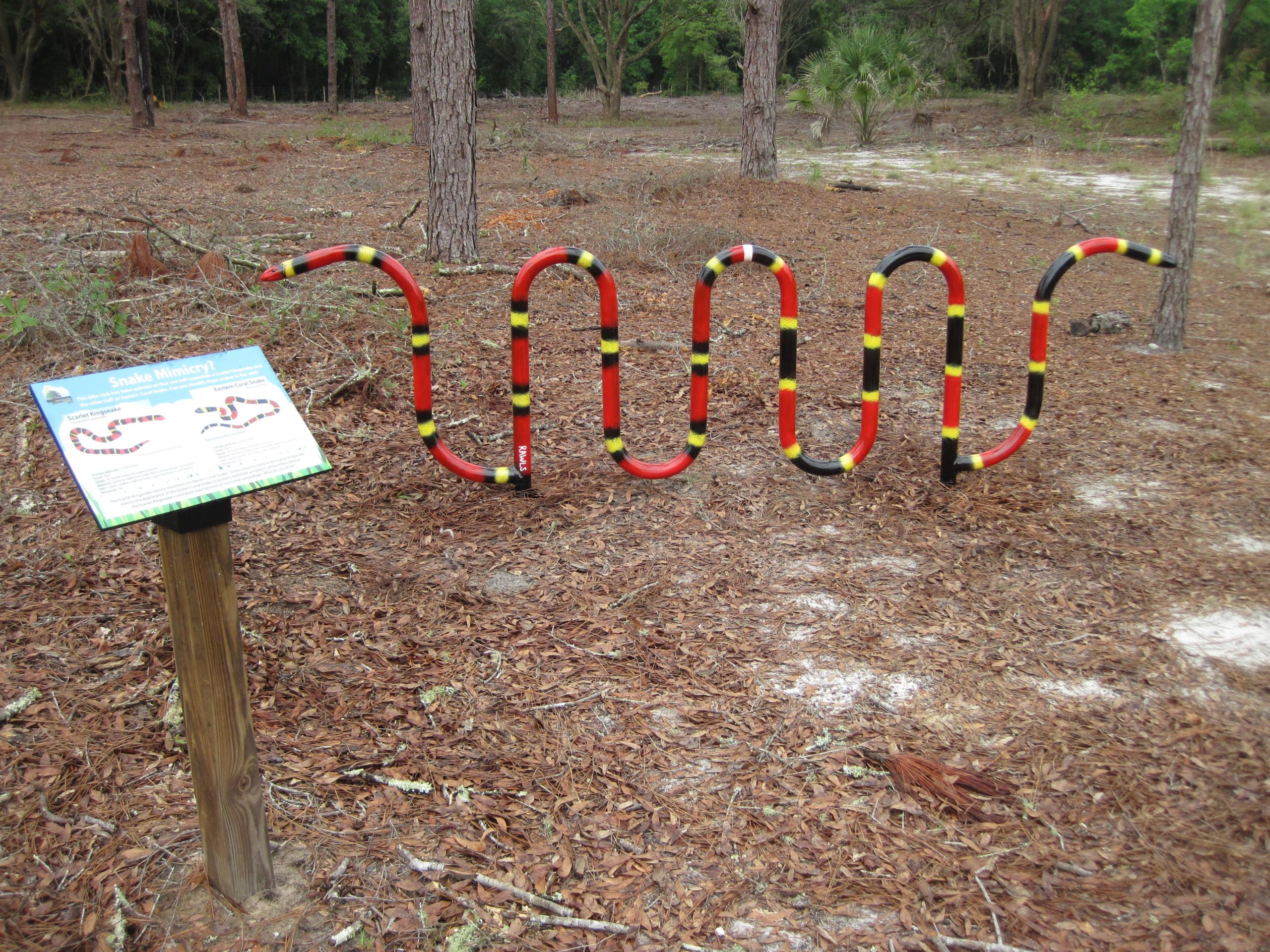 A colorful, curved sculpture resembling a snake, painted in red, black, and yellow, set in a natural outdoor area covered with pine needles and small leaves. In the foreground, there is an informational sign titled "Snake Mimicry!" detailing information about different types of snakes. The background features trees and a patch of greenery. Sweetwater Preserve mountain bike trail.
