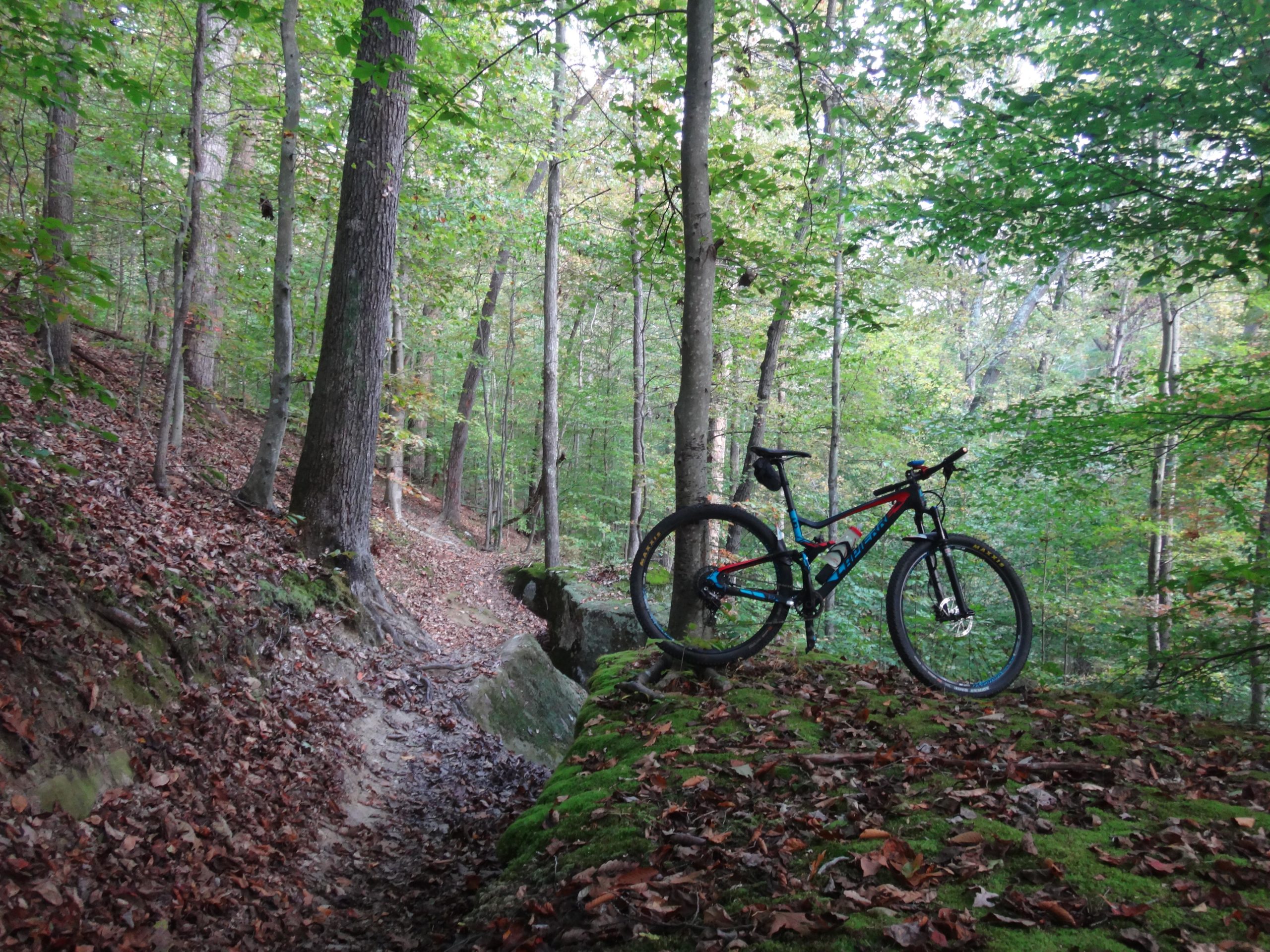A mountain bike is positioned on a mossy rock in a lush, green forest. The scene features tall trees with leaves in various shades of green, and the ground is covered with fallen leaves. A winding dirt path is visible leading deeper into the woods. Lake Hope State Park mountain bike trail.