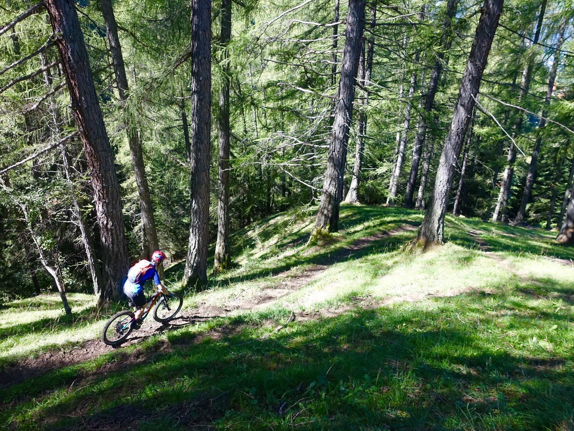 A mountain biker navigates a winding trail through a vibrant green forest, surrounded by tall trees. The sunlight filters through the foliage, creating dappled shadows on the ground. The cyclist wears protective gear and a helmet, showcasing an adventurous spirit in a serene natural setting. BikeTicket2Ride mountain bike trail.
