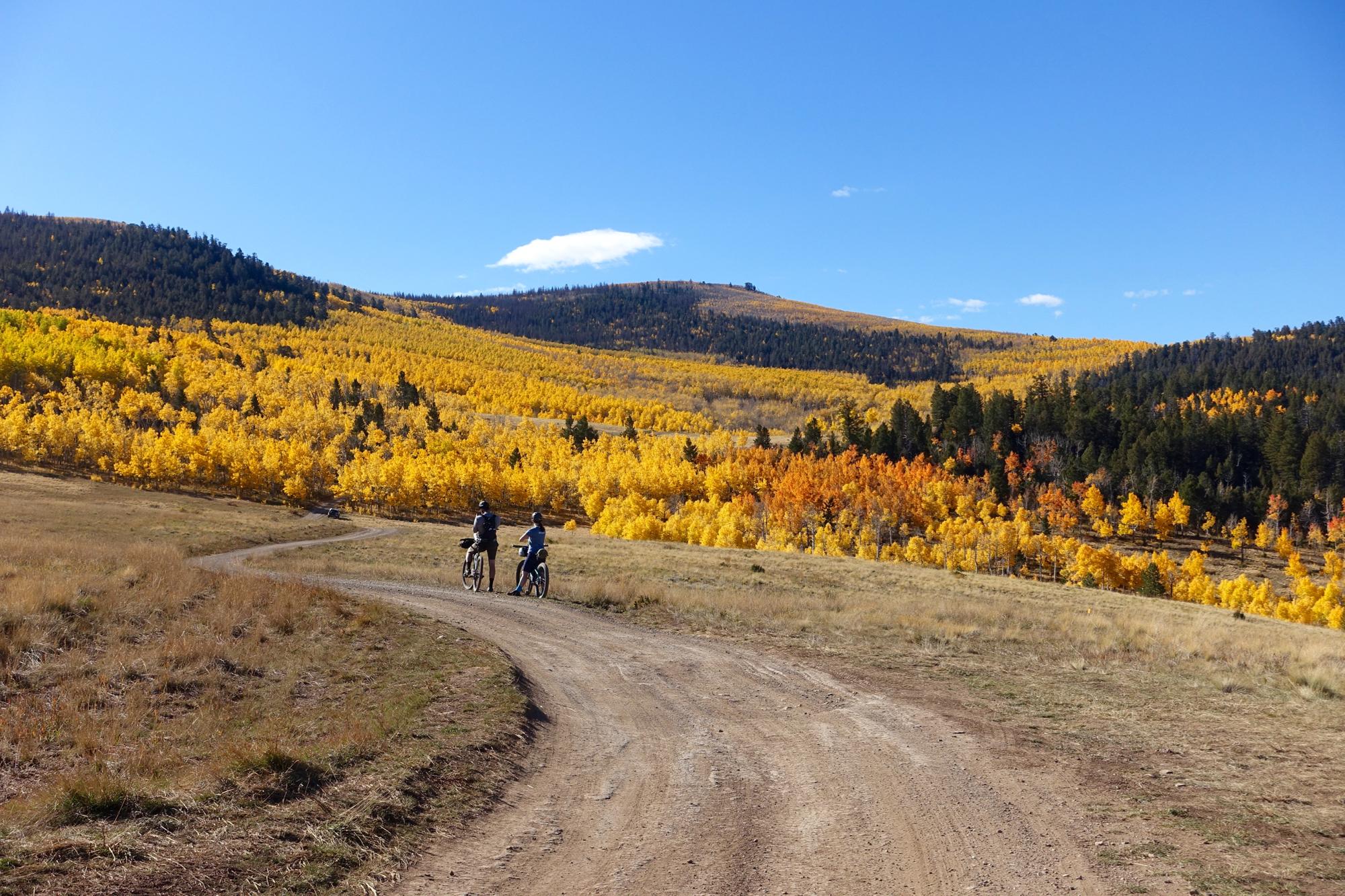 Two cyclists pause on a dirt path, surrounded by vibrant yellow and orange fall foliage on rolling hills under a clear blue sky. Aspen Ridge / Road #185 mountain bike trail.