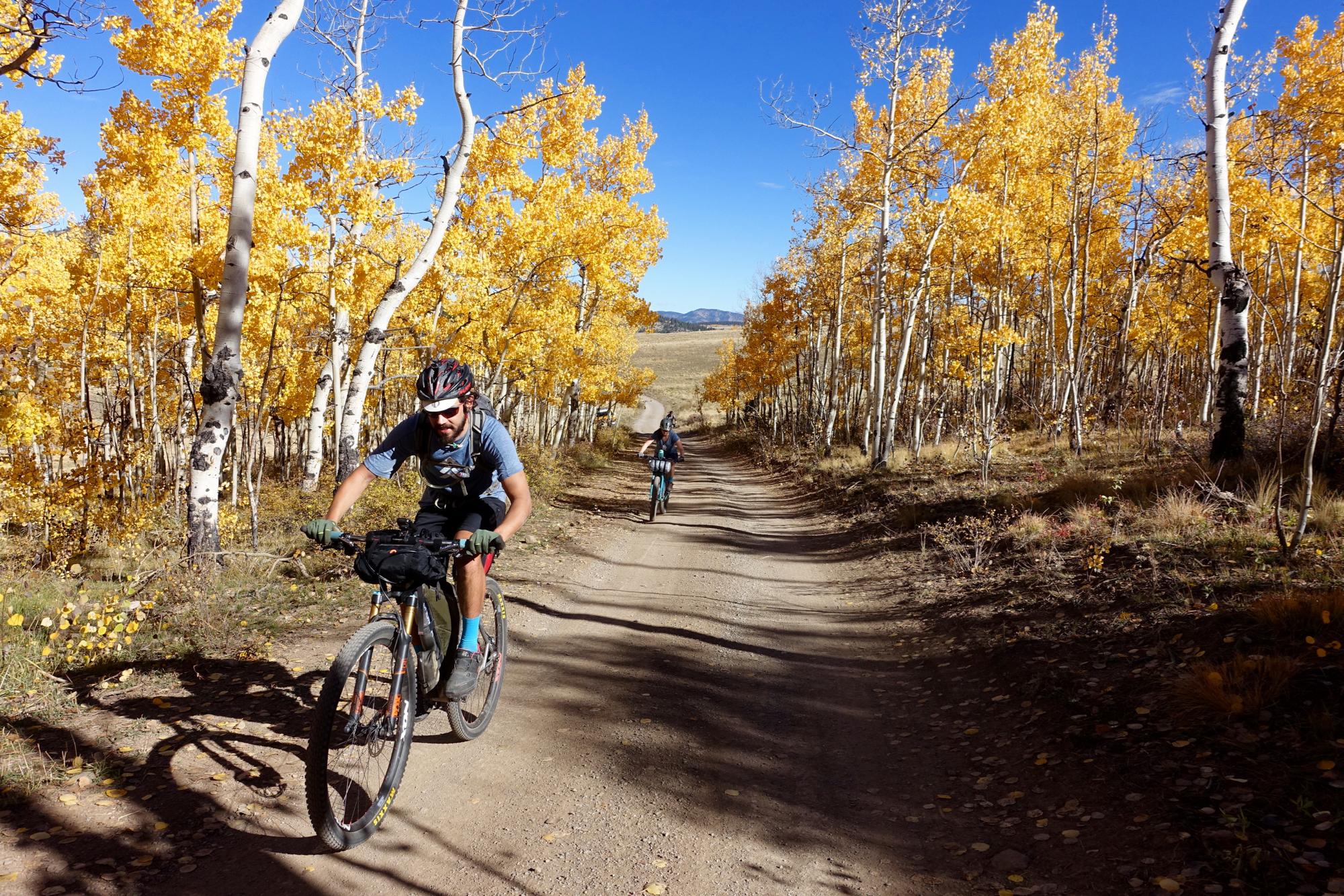Two mountain bikers ride along a dirt trail surrounded by vibrant yellow aspen trees in autumn. The sky is clear blue, and the landscape features hills in the distance. The scene captures the essence of an outdoor adventure in fall. Aspen Ridge / Road #185 mountain bike trail.
