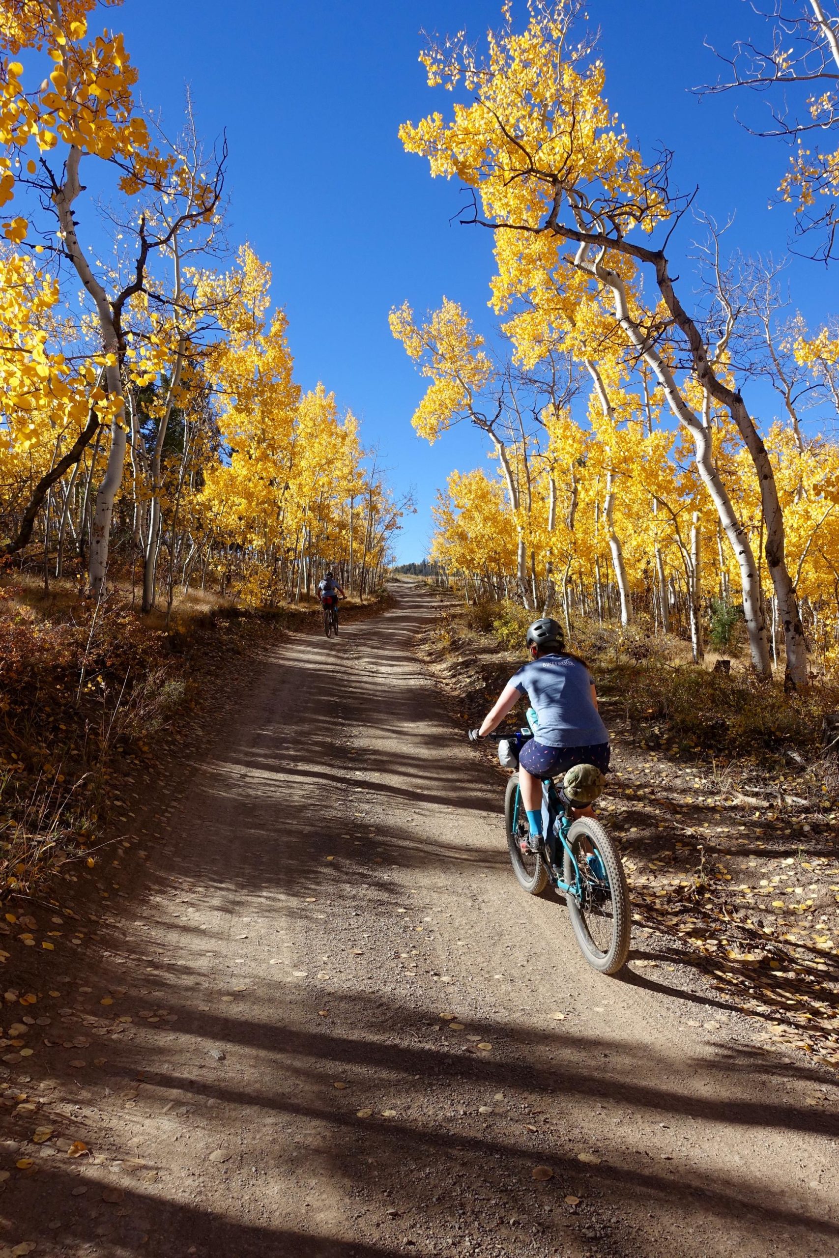 Two cyclists ride along a dirt trail surrounded by vibrant yellow aspen trees under a clear blue sky. The trail gently slopes upward, with fallen leaves scattered on the ground. Aspen Ridge / Road #185 mountain bike trail.
