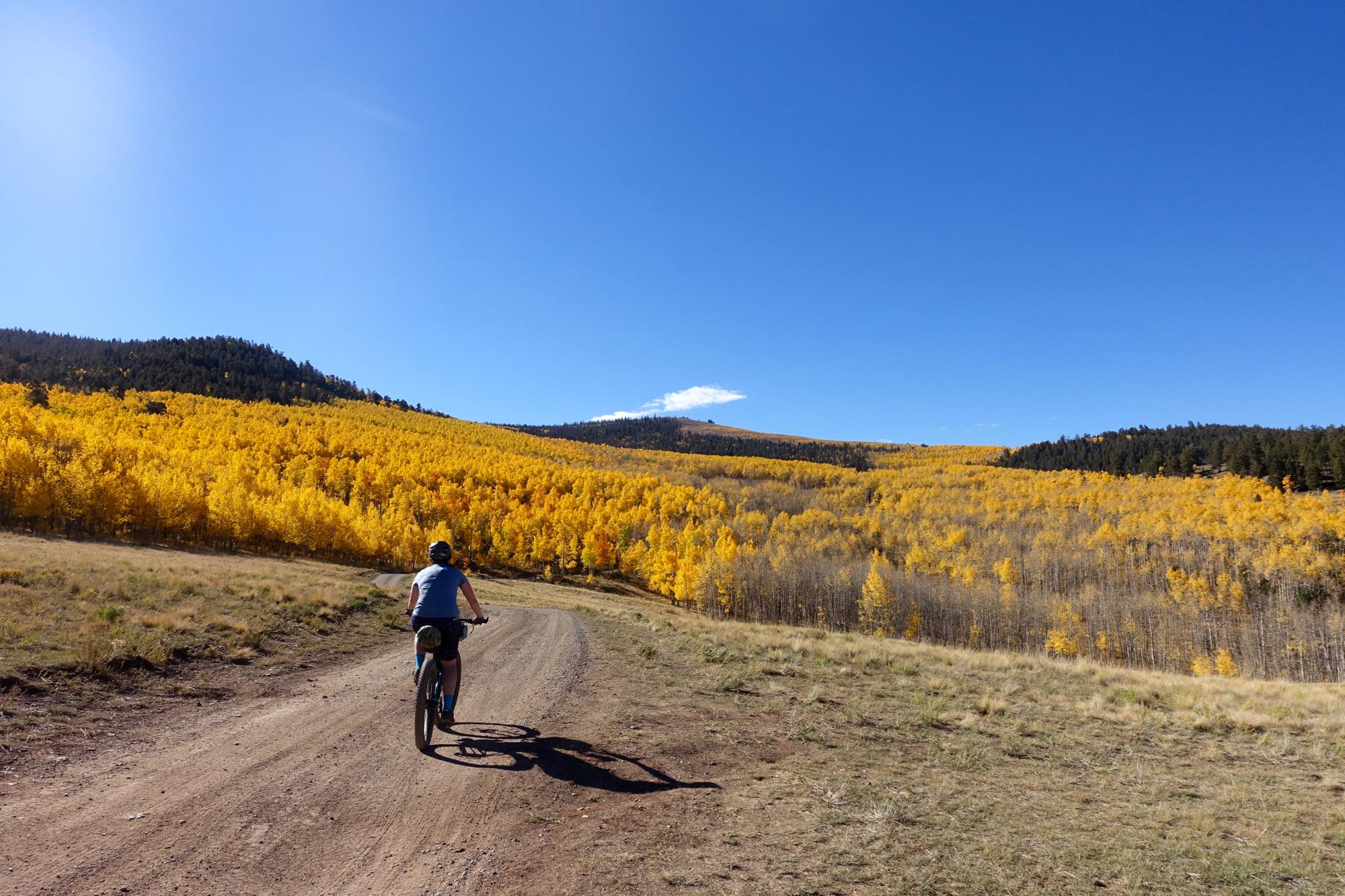 A person riding a mountain bike along a dirt path, surrounded by vibrant yellow foliage on hills under a clear blue sky. Aspen Ridge / Road #185 mountain bike trail.