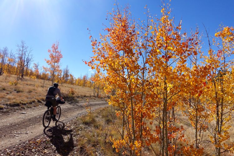 A cyclist riding along a dirt path surrounded by vibrant autumn foliage, featuring yellow and orange leaves. The clear blue sky overhead adds to the scenic beauty of the fall landscape.