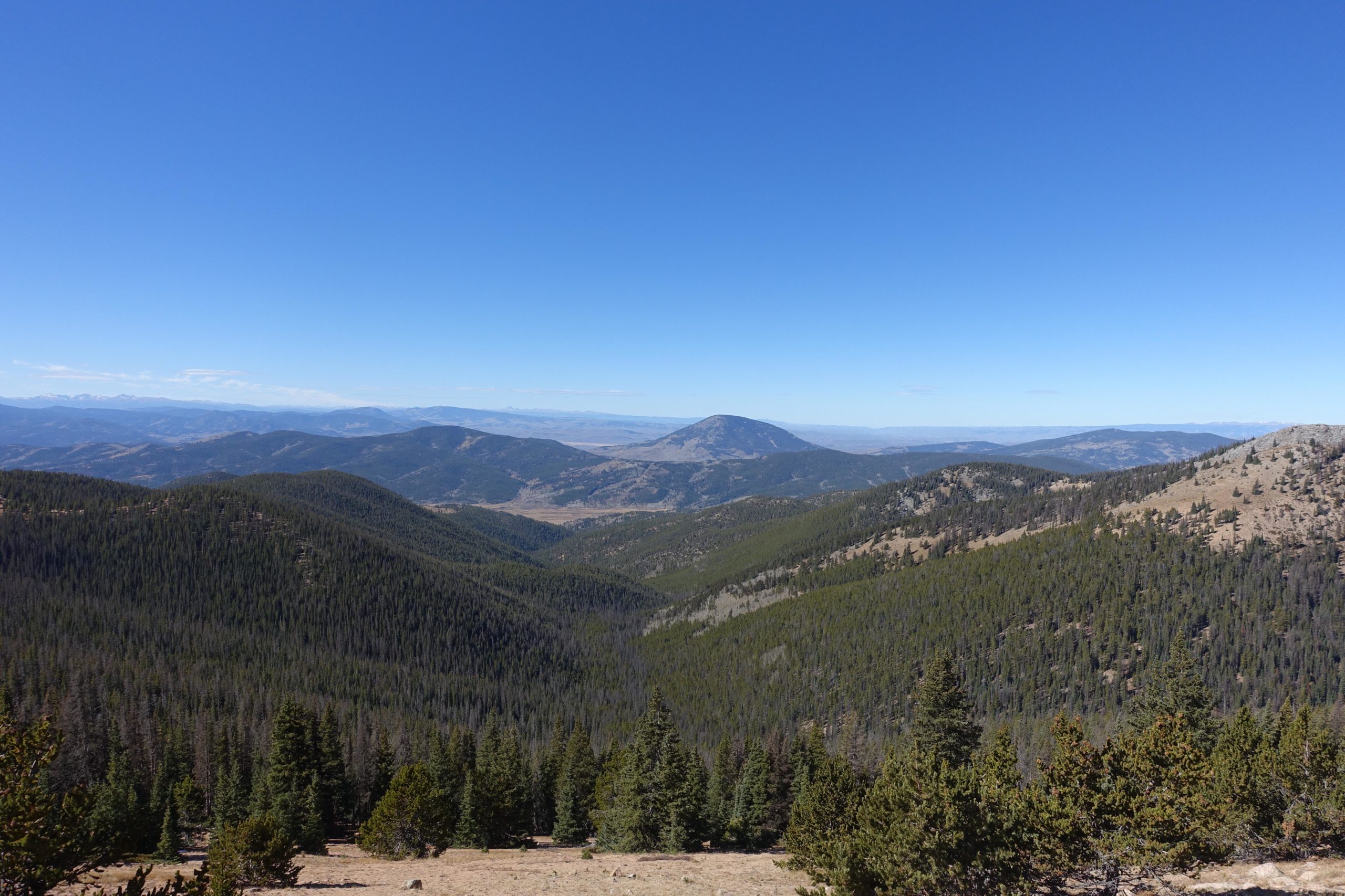 A panoramic view of rolling green hills and mountains under a clear blue sky, with a distant peak visible on the horizon. The landscape is dotted with evergreen trees, creating a serene natural setting. CDT: Monarch Pass to Boss Lake / Hunt Lake Trail mountain bike trail.
