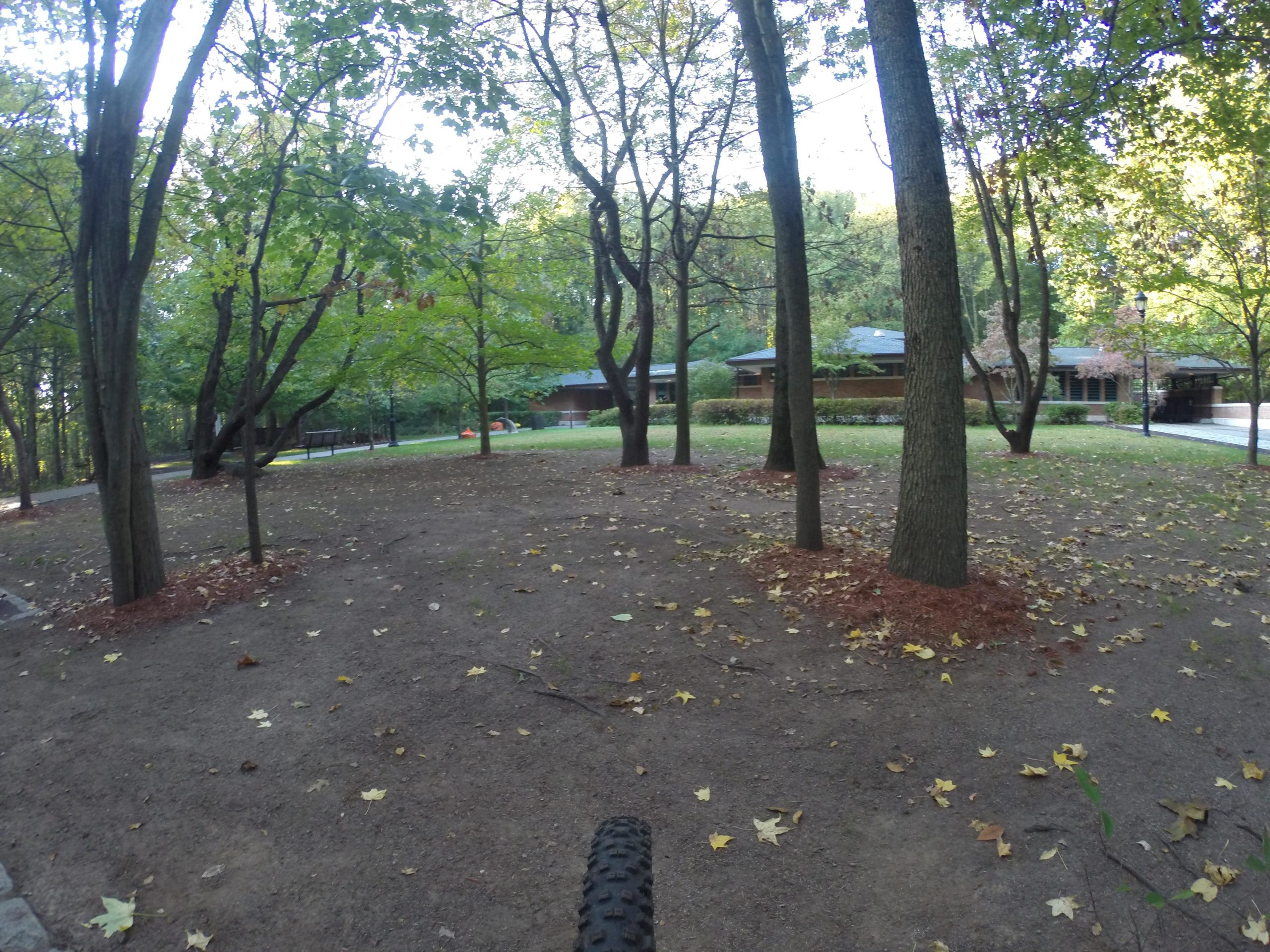 A scenic view of a park featuring several trees, scattered leaves on the ground, and a path leading to buildings in the background. The setting is serene and natural, suggesting a peaceful outdoor space. Richmond Avenue and Forest Hill road mountain bike trail.
