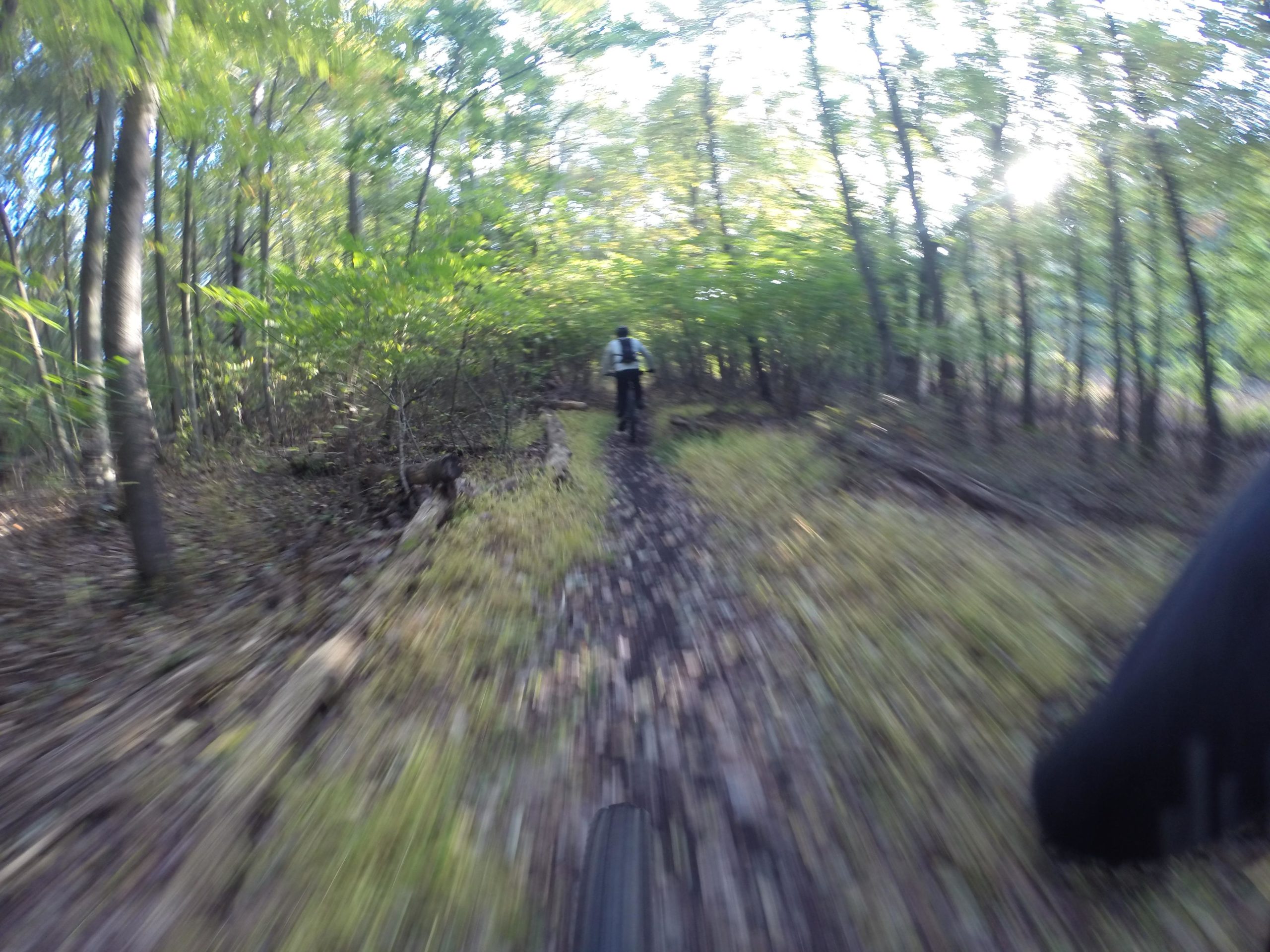 A blurry view of a mountain biking trail through a forest, with a rider pedaling on a narrow path surrounded by green foliage and trees. The motion blur conveys speed and movement, suggesting an active outdoor experience. Richmond Avenue and Forest Hill road mountain bike trail.