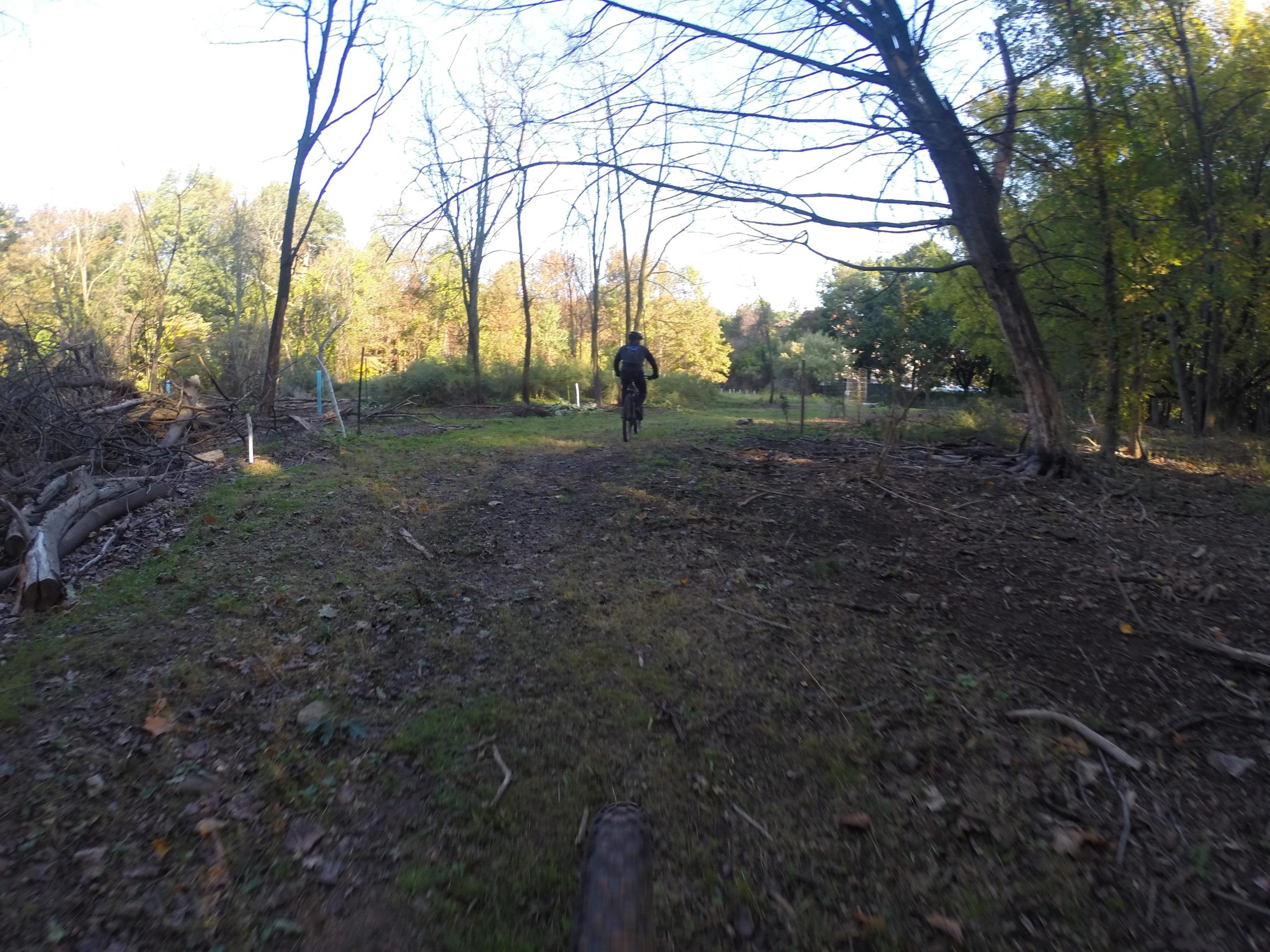 A mountain biker riding along a dirt path surrounded by trees and fallen branches in a wooded area during the daytime. Richmond Avenue and Forest Hill road mountain bike trail.
