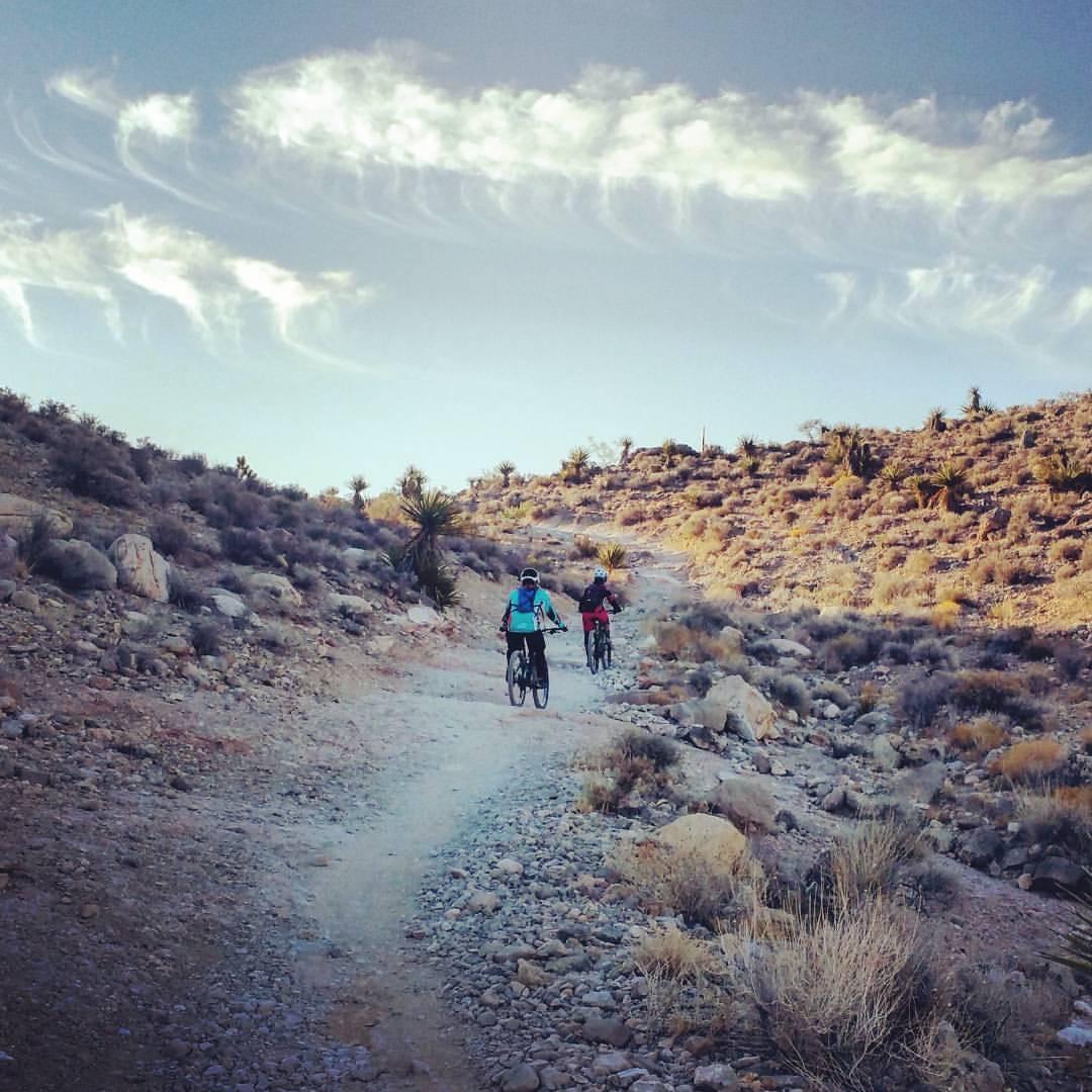 Two cyclists riding on a rocky trail in a desert landscape, with sparse vegetation and a clear blue sky adorned with wispy clouds in the background. The terrain is uneven, featuring dirt paths and scattered stones. Blue Diamond mountain bike trail.