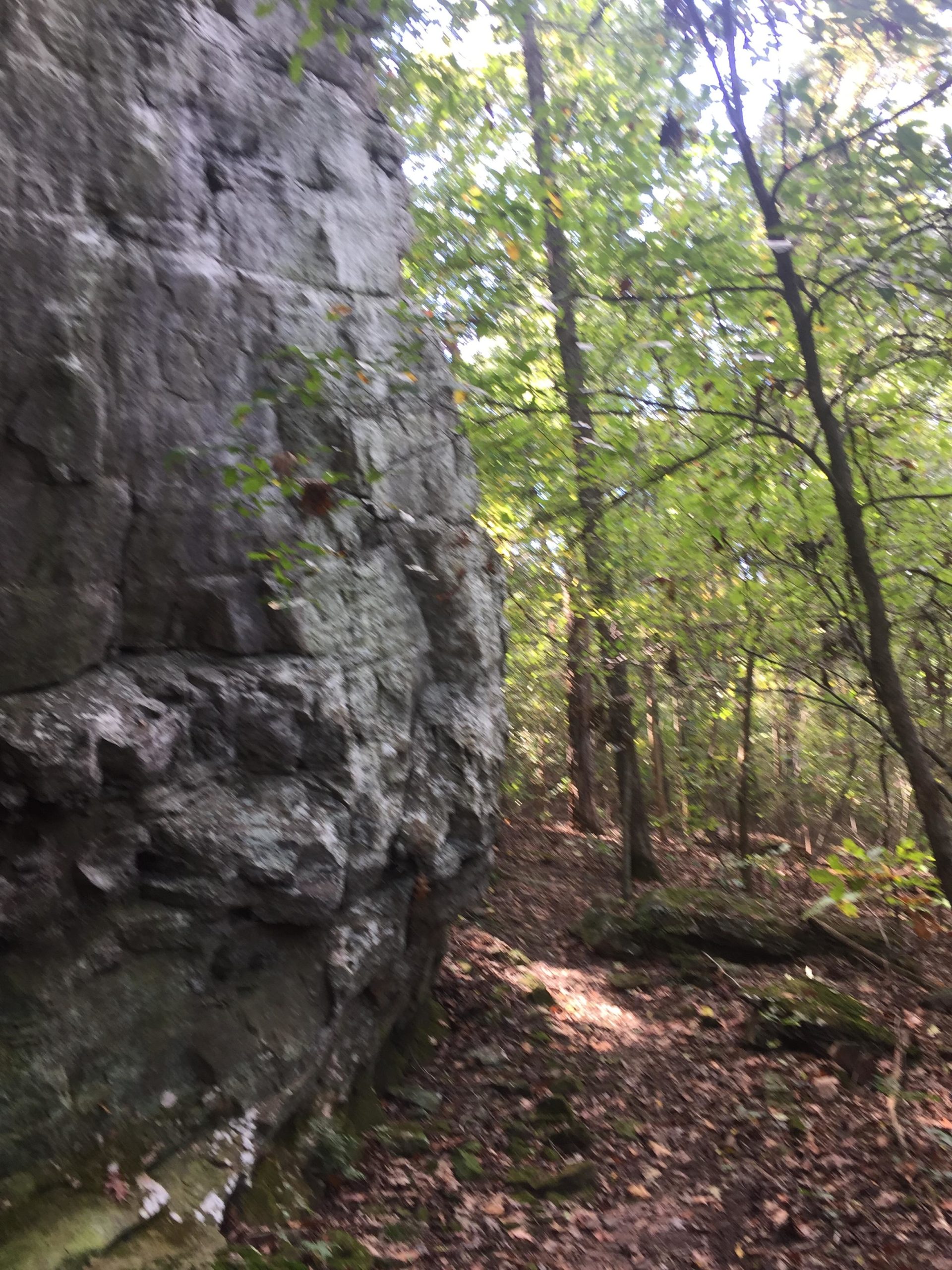 A narrow trail winding through a lush forest, flanked by a large rocky outcrop on one side and dense green trees on the other. Sunlight filters through the leaves, creating a dappled light effect on the ground covered with fallen leaves and rocks. Lincoln Lake mountain bike trail.