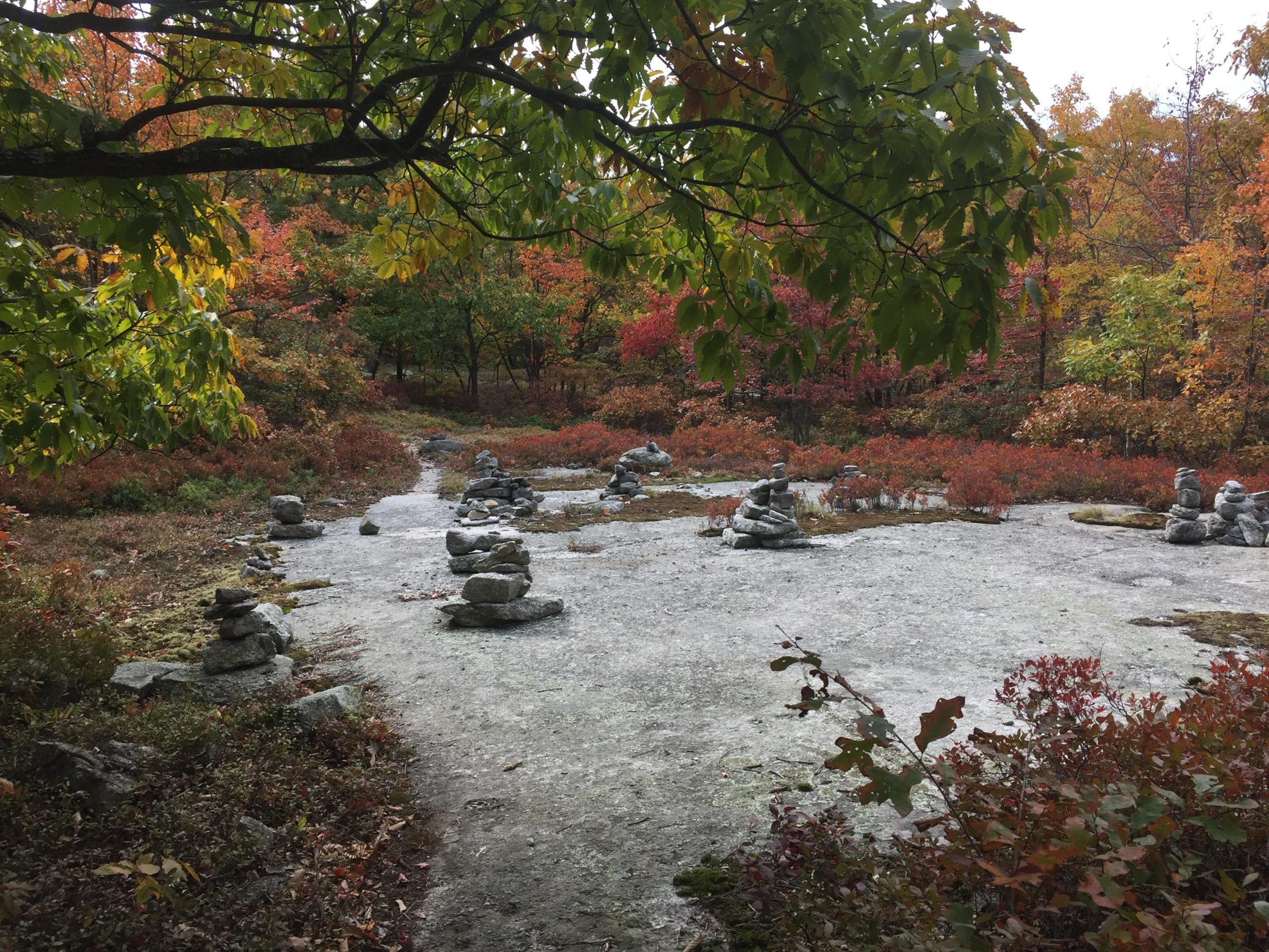 A tranquil outdoor scene featuring a rocky landscape with several stacked stone cairns. Surrounding the cairns is a patch of muted gray ground, interspersed with vibrant autumn foliage in shades of red, orange, and green. The background is filled with trees displaying fall colors, creating a peaceful and natural atmosphere. Blueberry mountain bike trail.