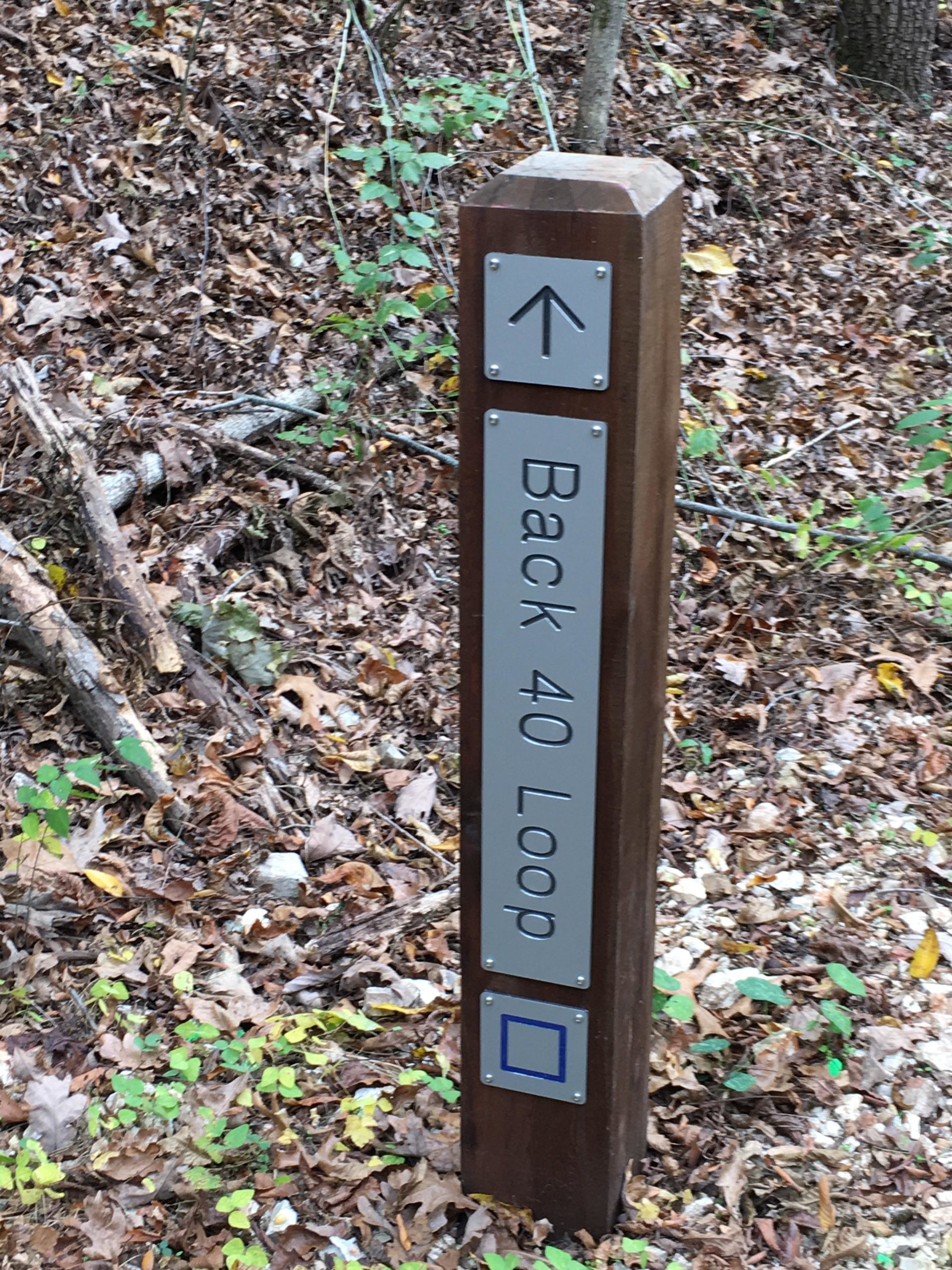 A wooden trail sign indicating the "Back 40 Loop" with an arrow pointing left, surrounded by fallen leaves and greenery in a forested area. Back 40 mountain bike trail.
