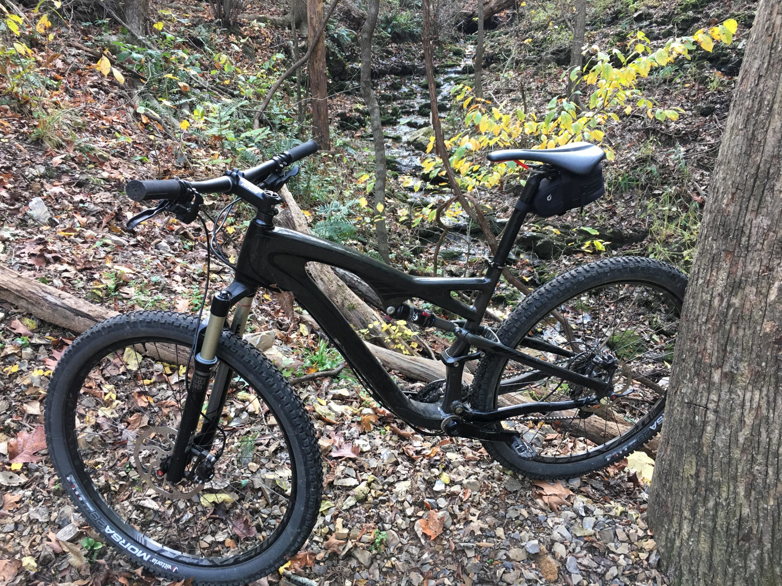 A black mountain bike leaning against a tree in a wooded area, surrounded by fallen leaves and rocky ground. The bike features a front suspension, thick tires, and a small saddlebag attached to the seat. In the background, there are trees and greenery, indicating a natural outdoor setting. Back 40 mountain bike trail.