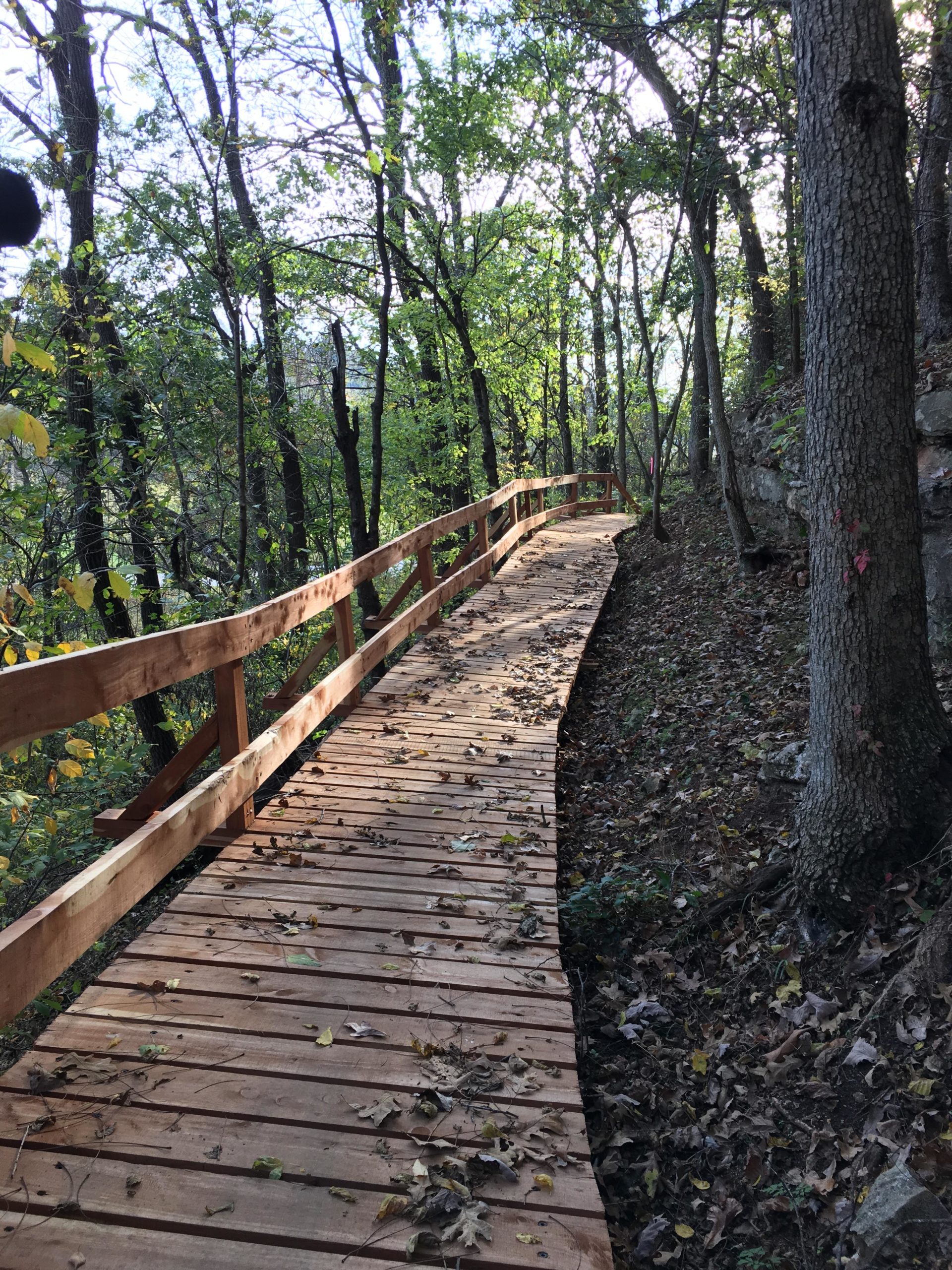 Wooden boardwalk winding through a forest, surrounded by trees and fallen leaves, under a sunny sky. Back 40 mountain bike trail.
